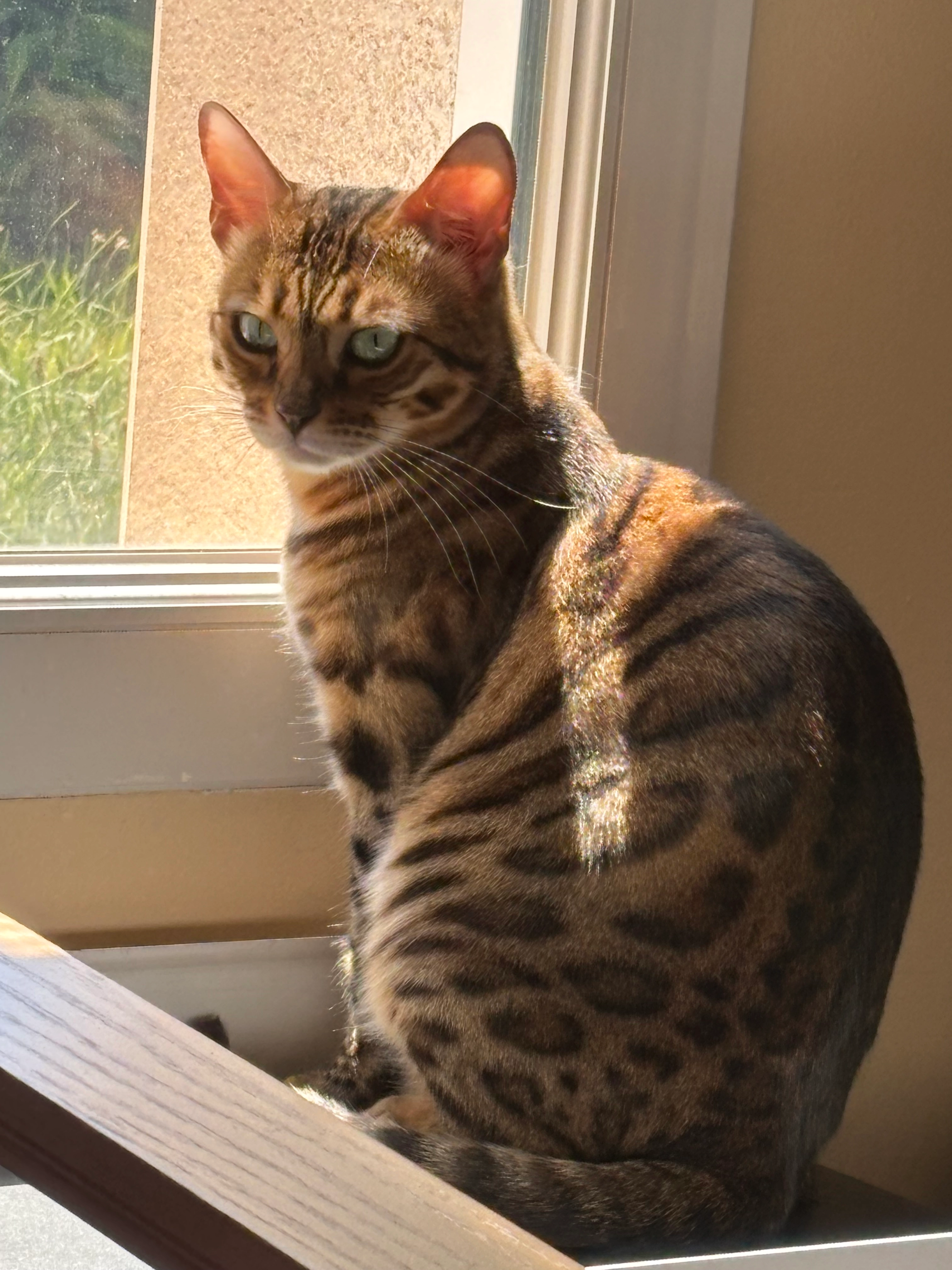 Solis - 19 Kroaz Pennanguer, Plomelin