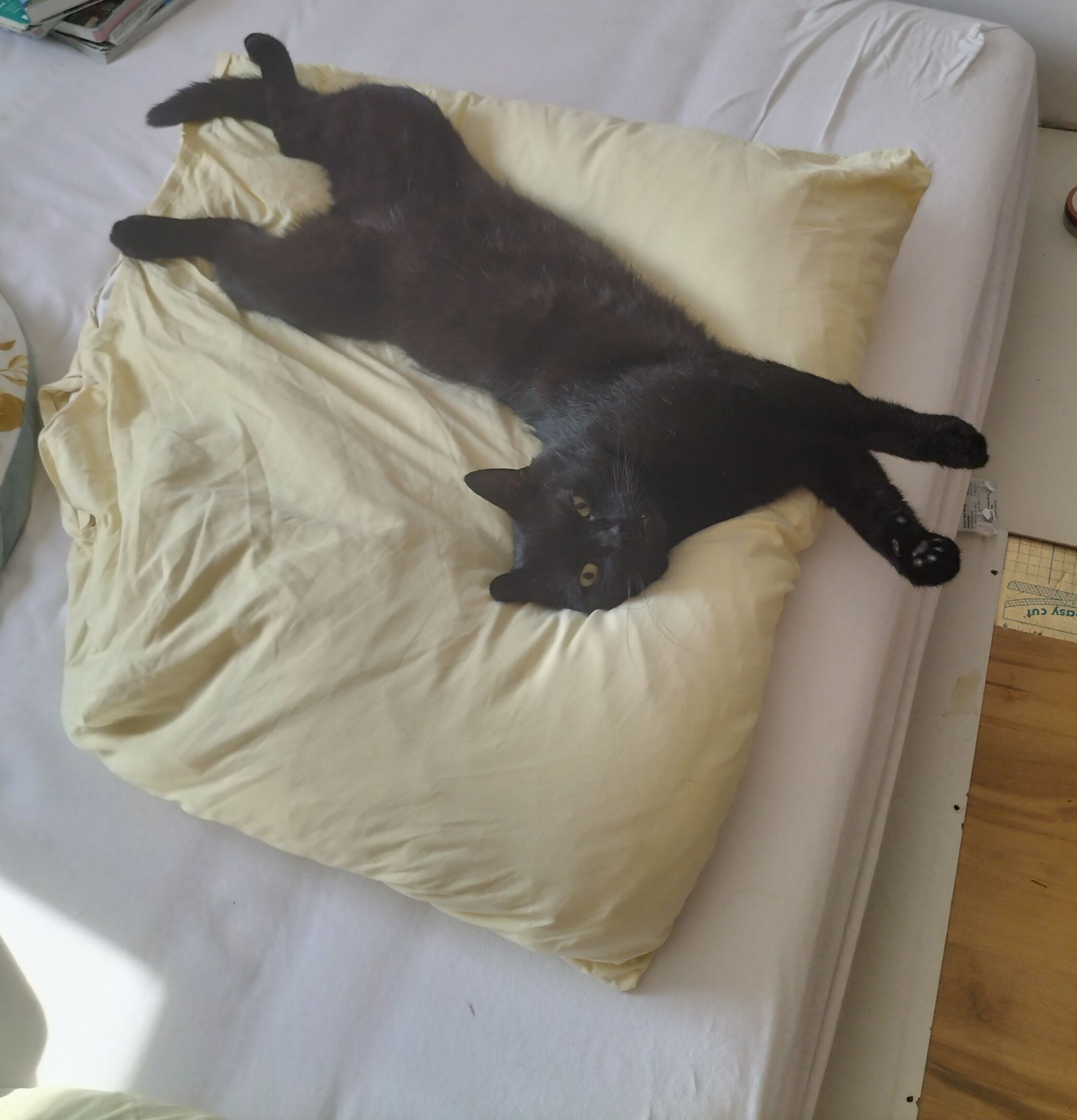 Ged - Gaußstraße, Bremerhaven