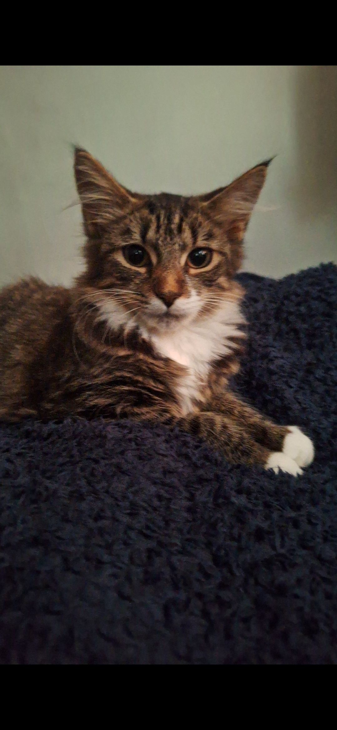 Tabitha  - Brenda Road, Hartlepool