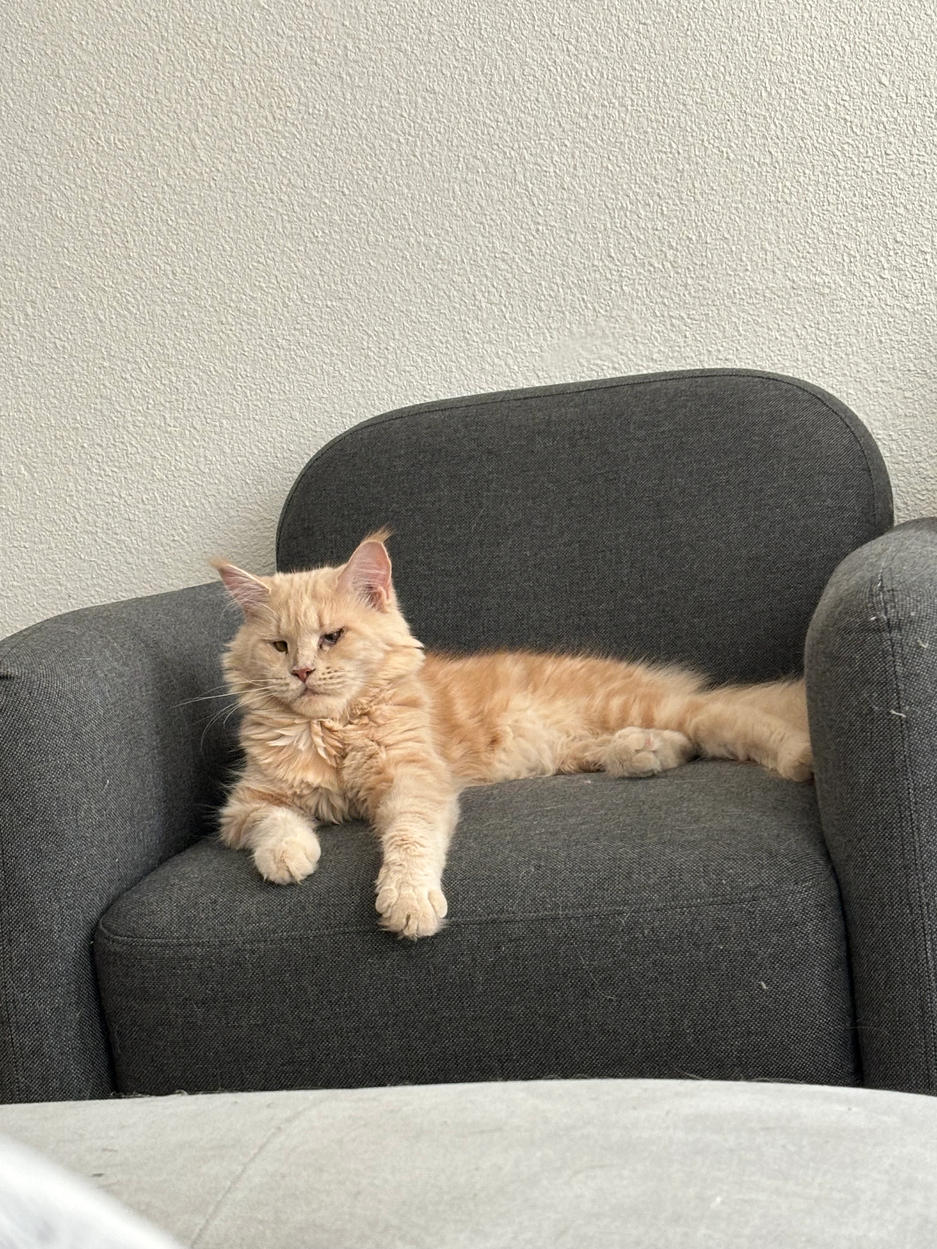 Luna - 1 Rue du Poise, Nîmes