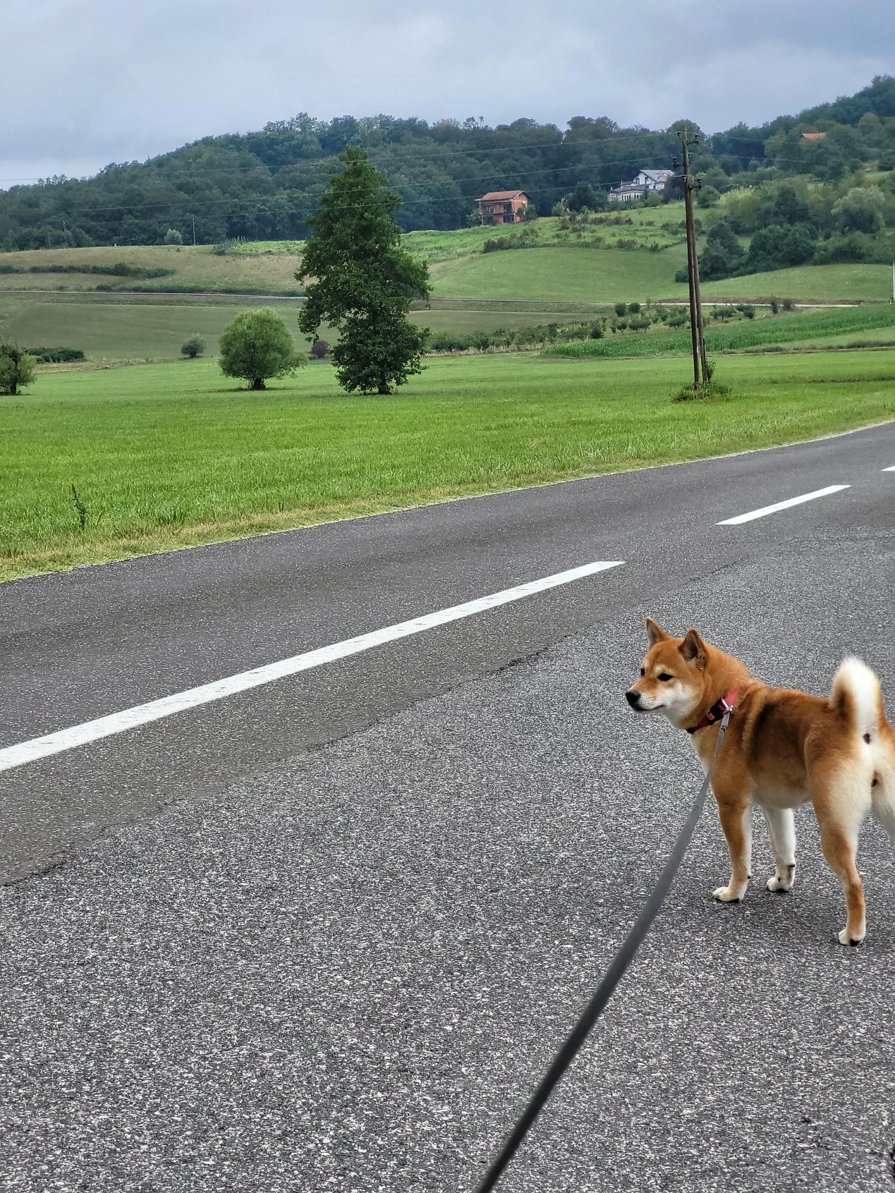 Vayra - Blanklaerstraat, Diest