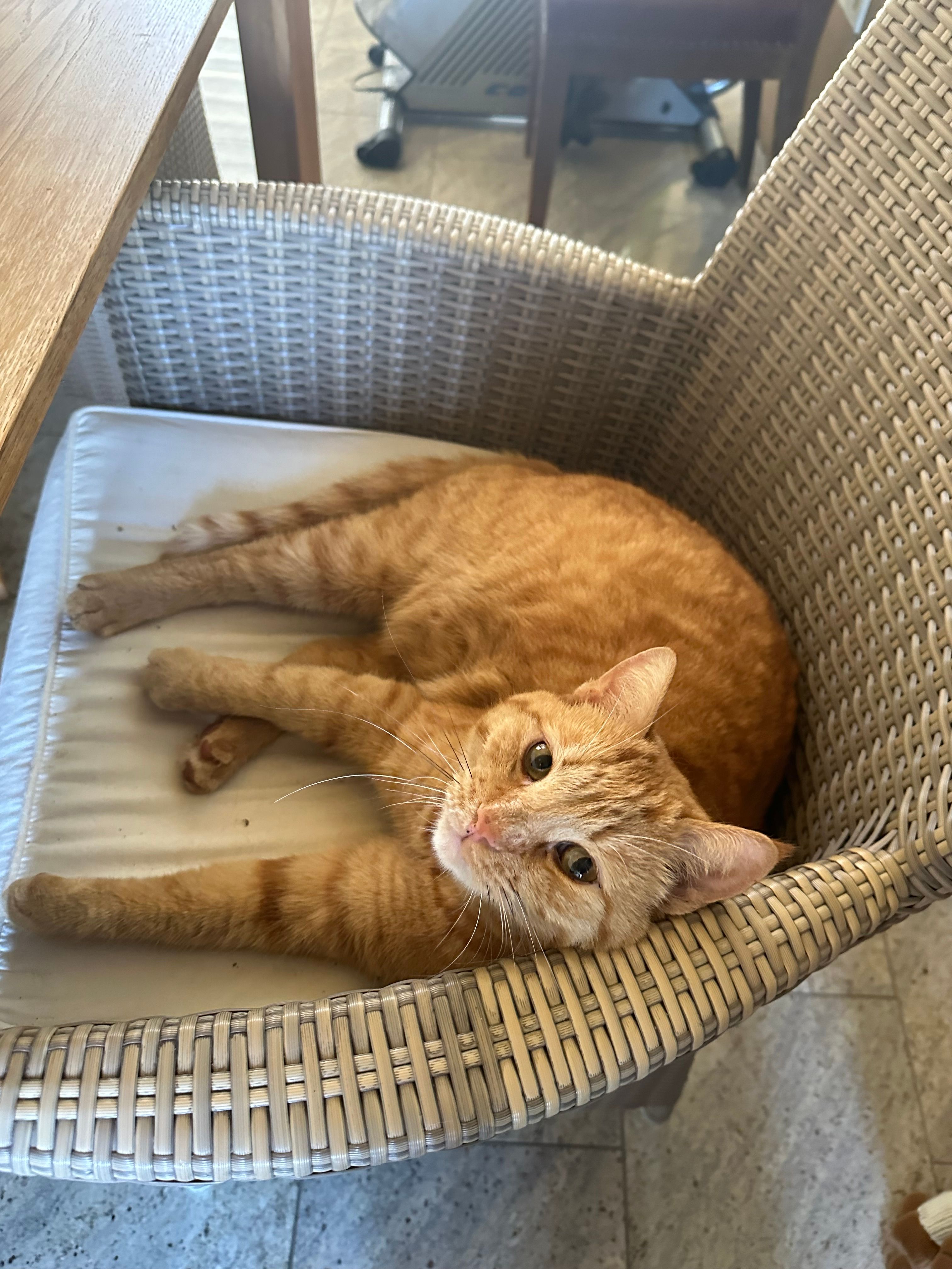 Emil - Stockerweg, Leibnitz