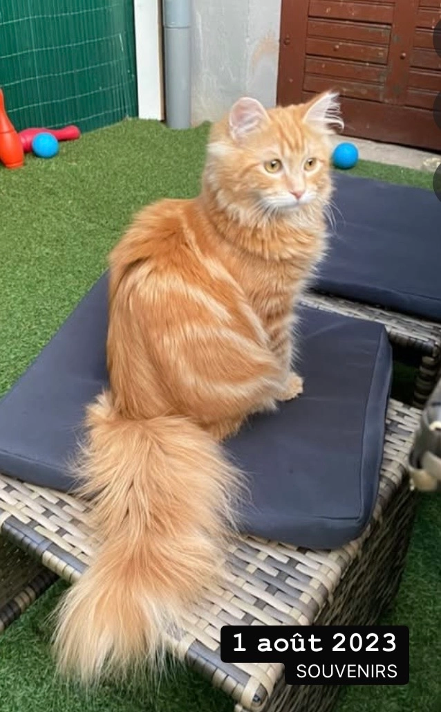 Roucky - 1A Rue de la Liberté, Kolbsheim