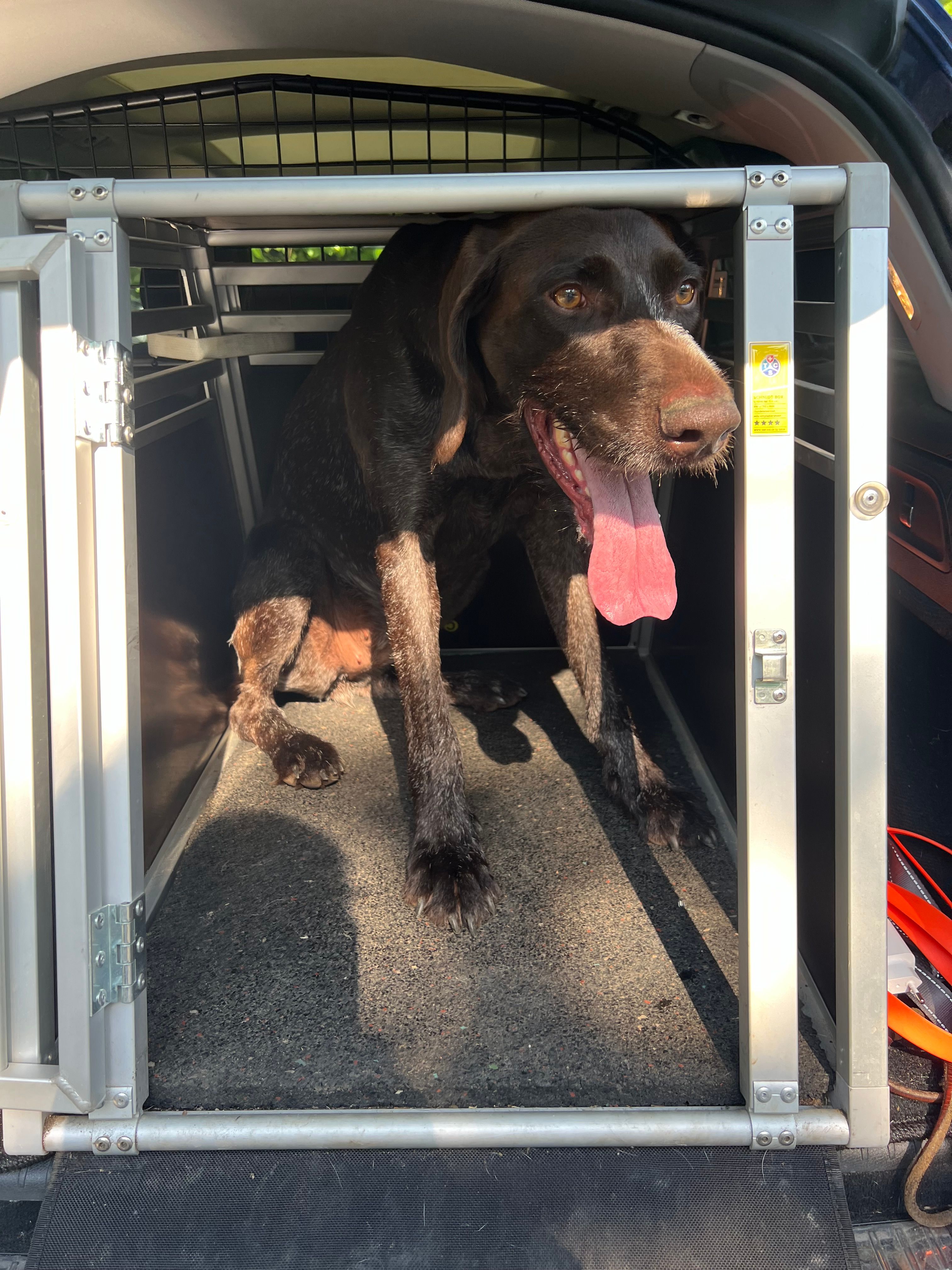 Debby - Heithoffweg, Dortmund