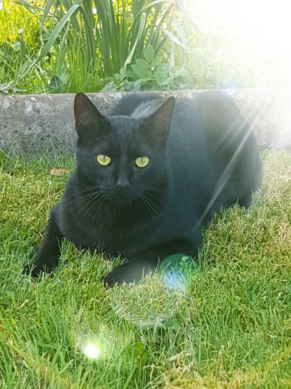 Benni - Herscheider Landstraße, Lüdenscheid