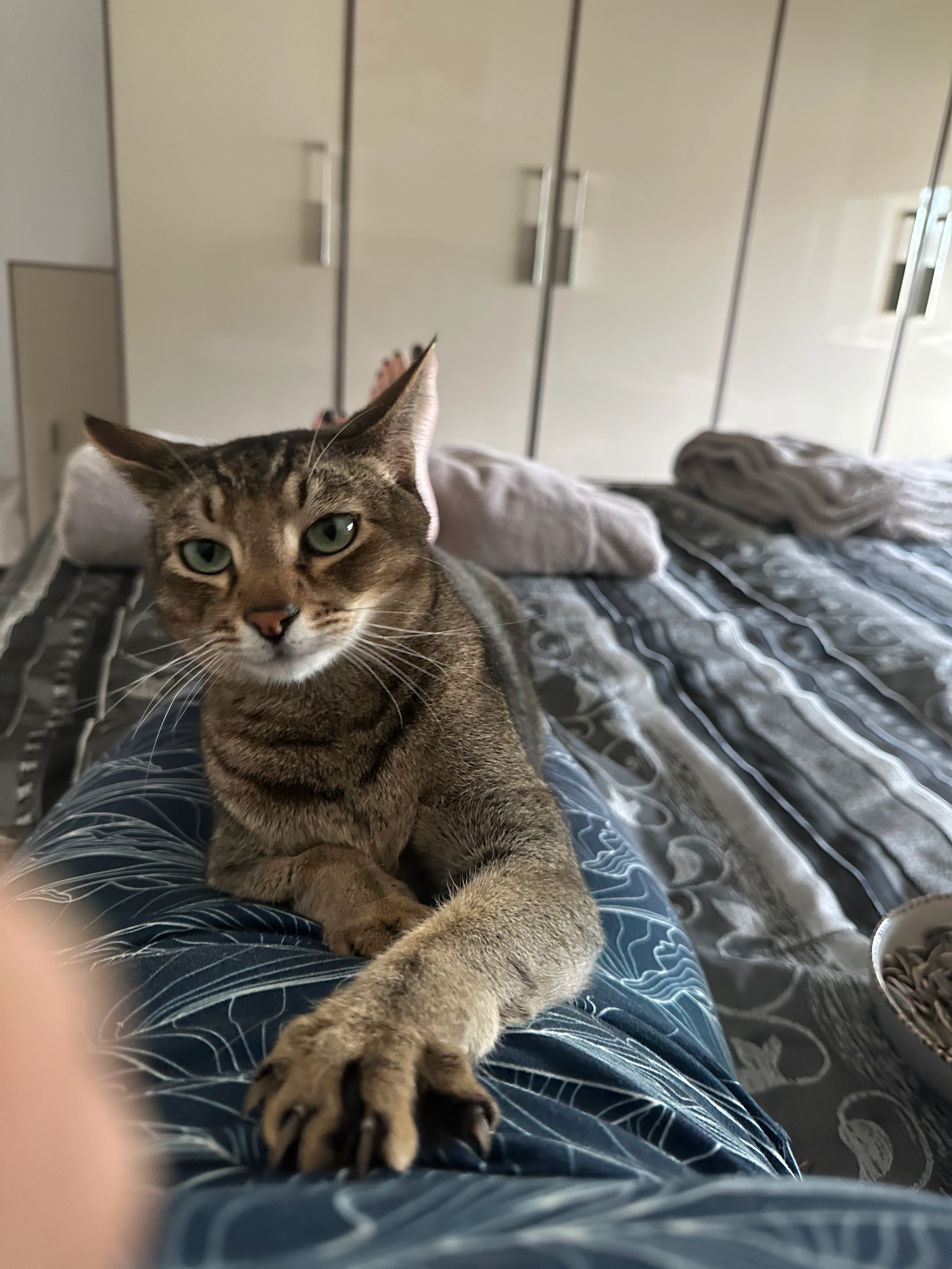 Endo  - Seepark, Stansstad