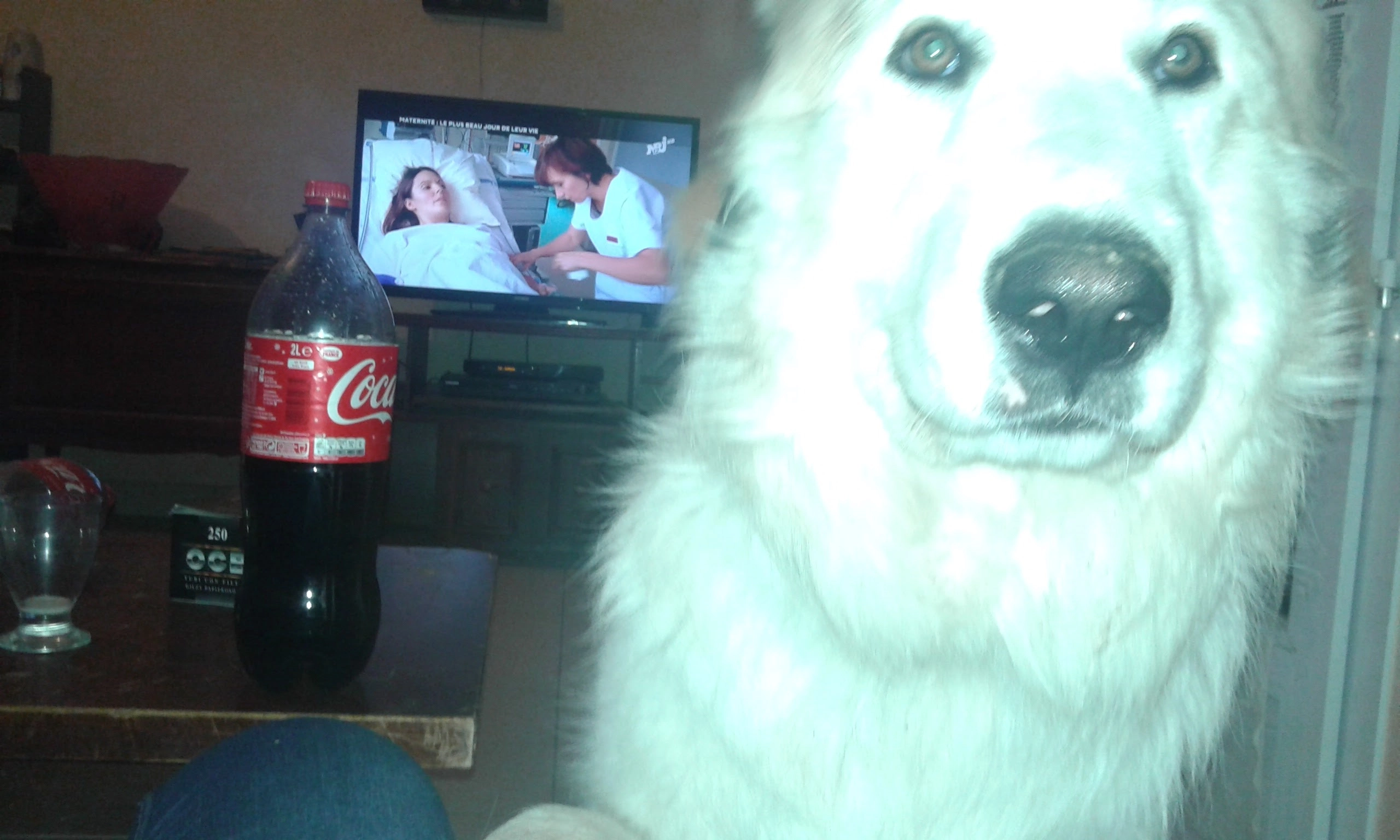 Jazz - Place Du Val De Loire, Gennes