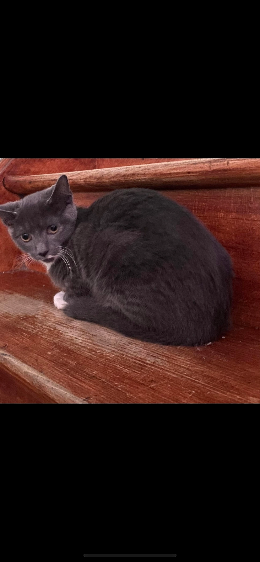 Poko  - Rue d'Angleterre 41, Huy