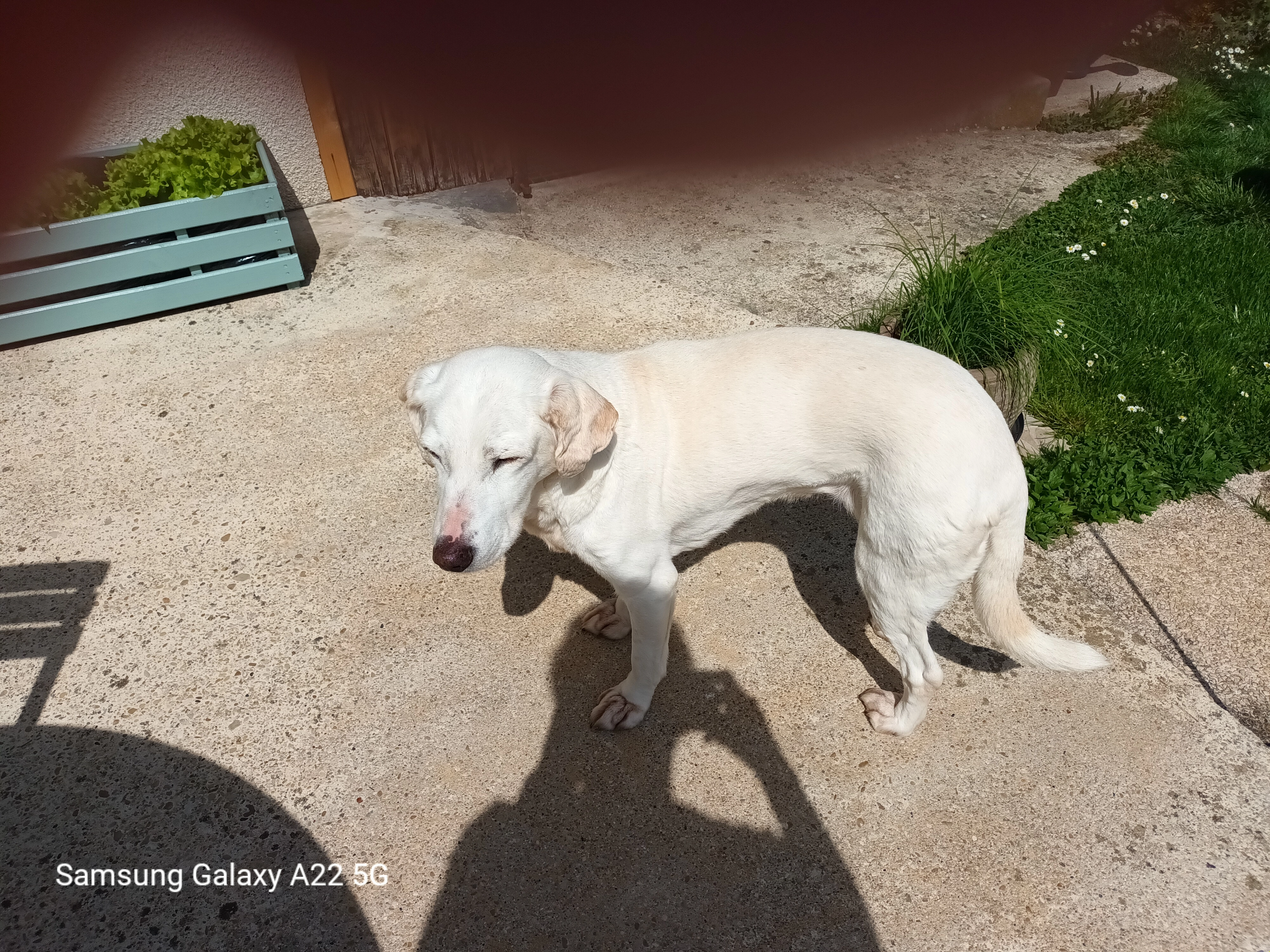 Maya - 42 Rue Alfred de Musset, Châlons-en-Champagne