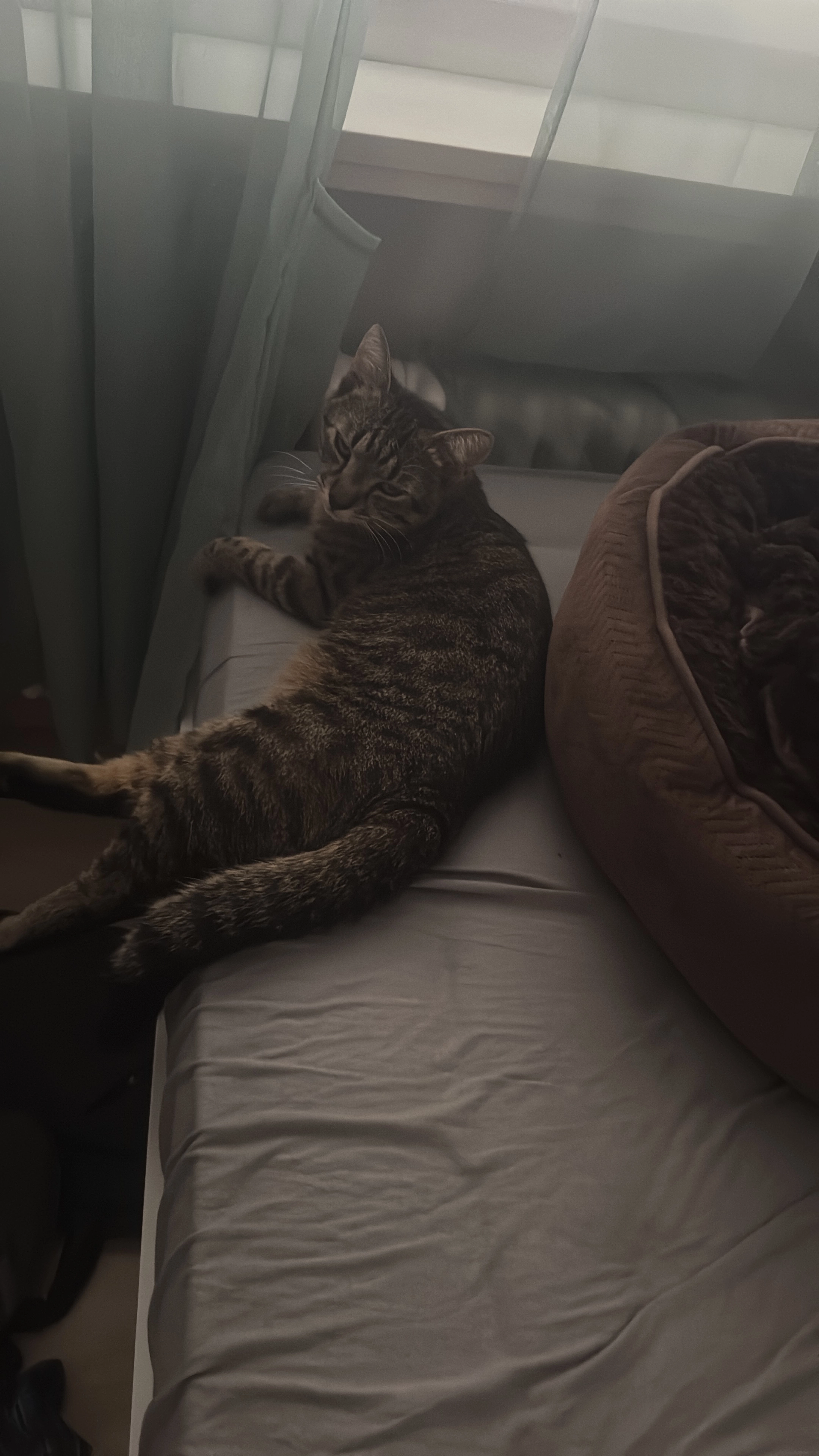 Thomas - Hauptstrasse, St. Margrethen