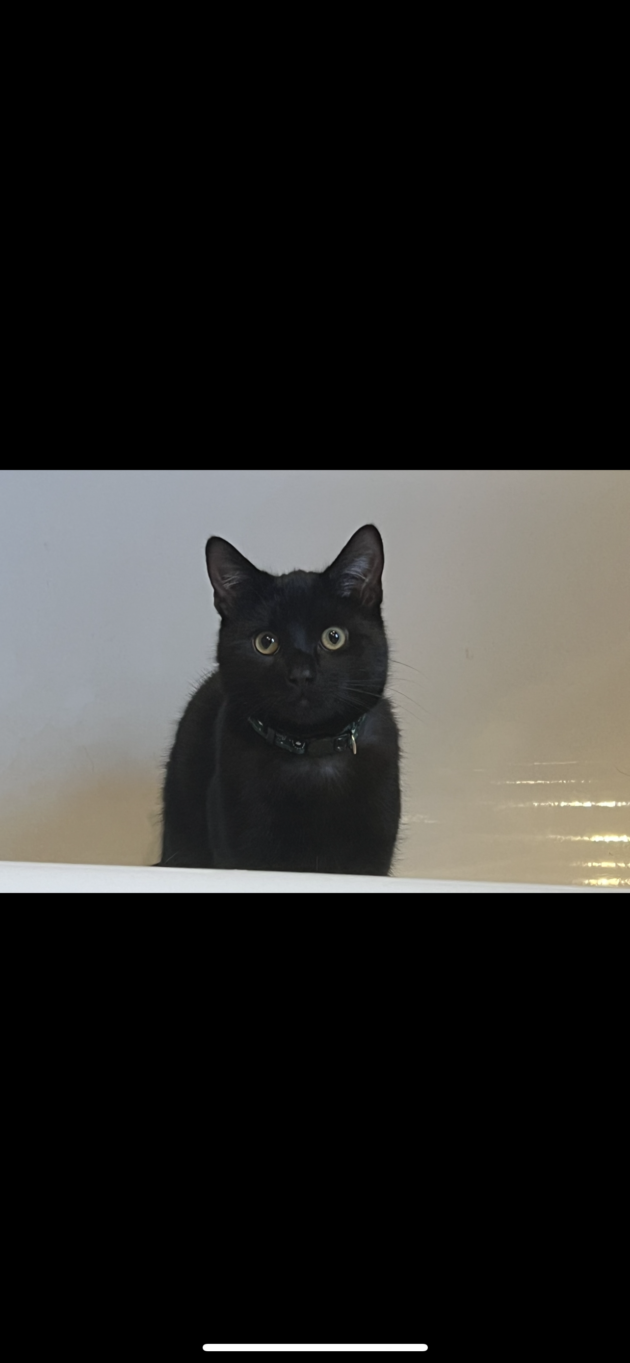 Pants - Saint Mary's Road, Dundee