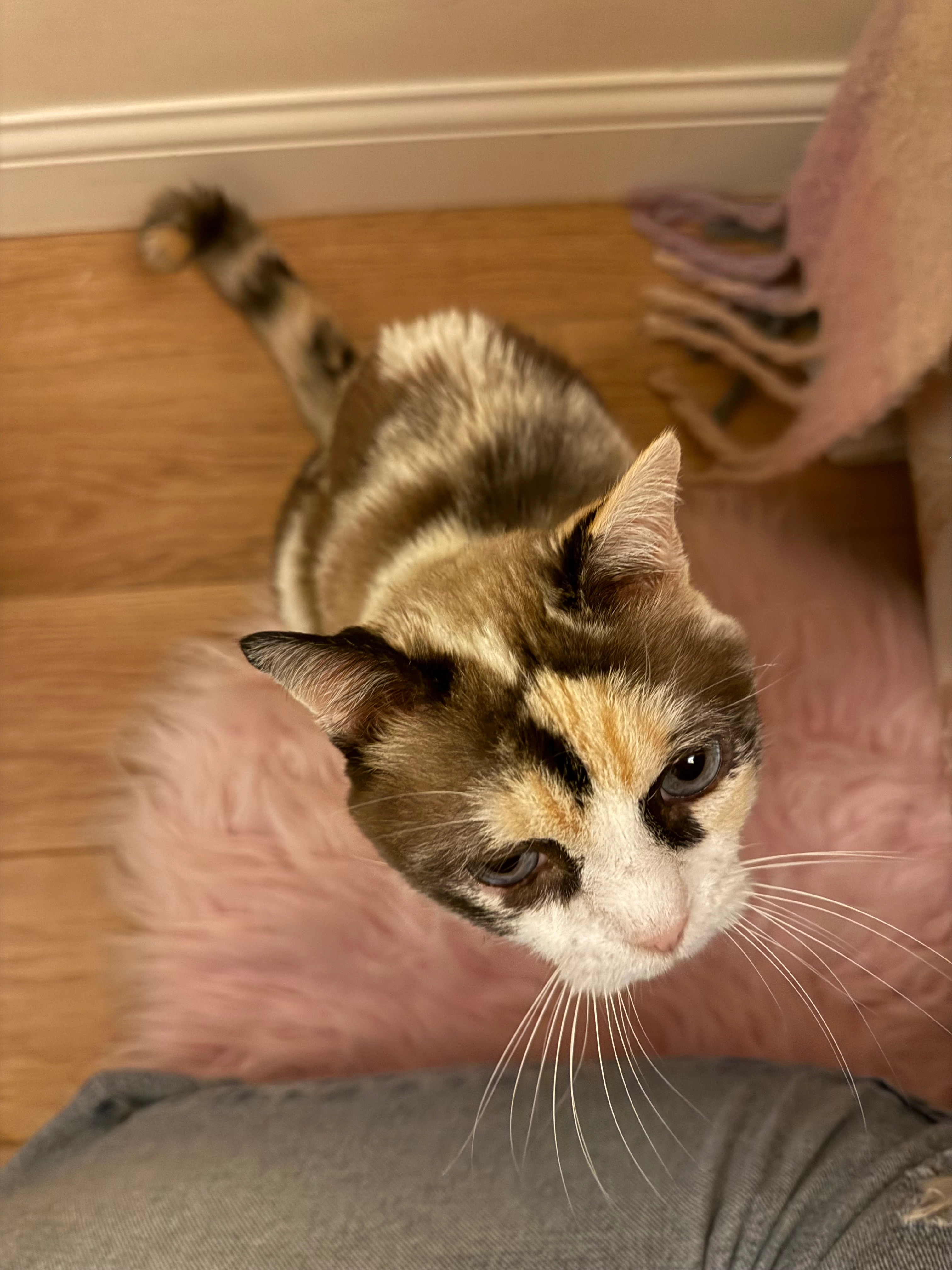 Eva  - AB24 5, Scotland