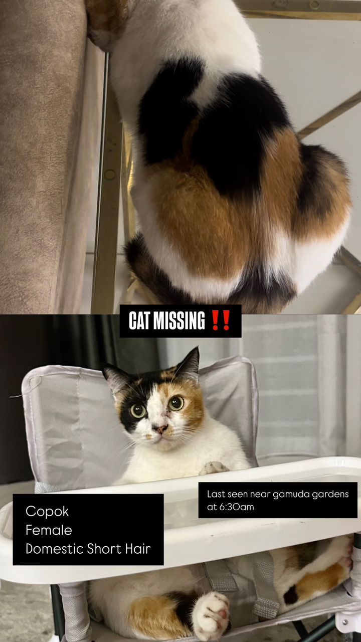 Copok - 48050, Rawang