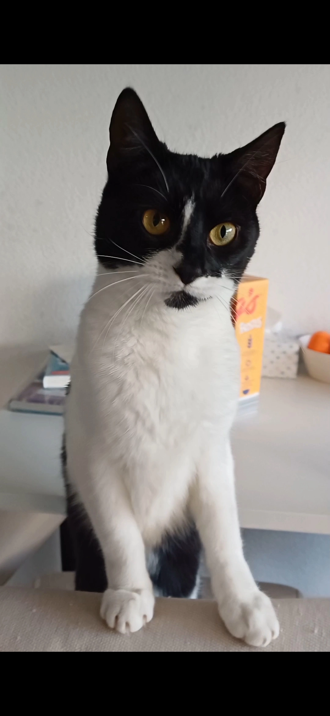 Coalie - Pastoor-Janssenstraat, Wessem