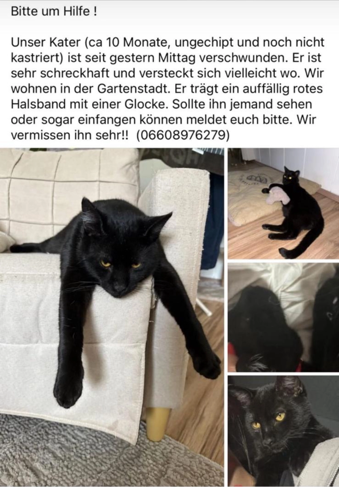 Pasha  - Übelbachergasse 3, Hollabrunn