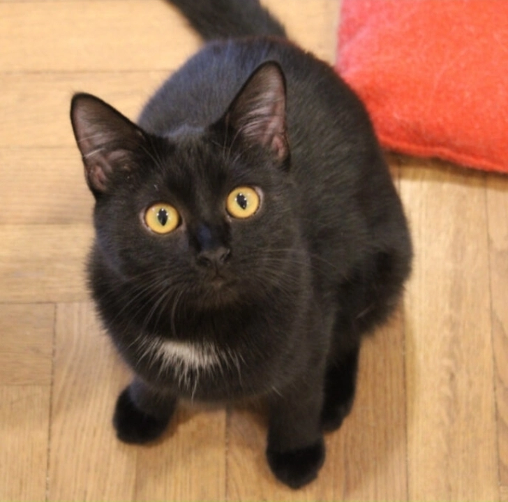 Emilia - Am Langen Felde 41, Wien