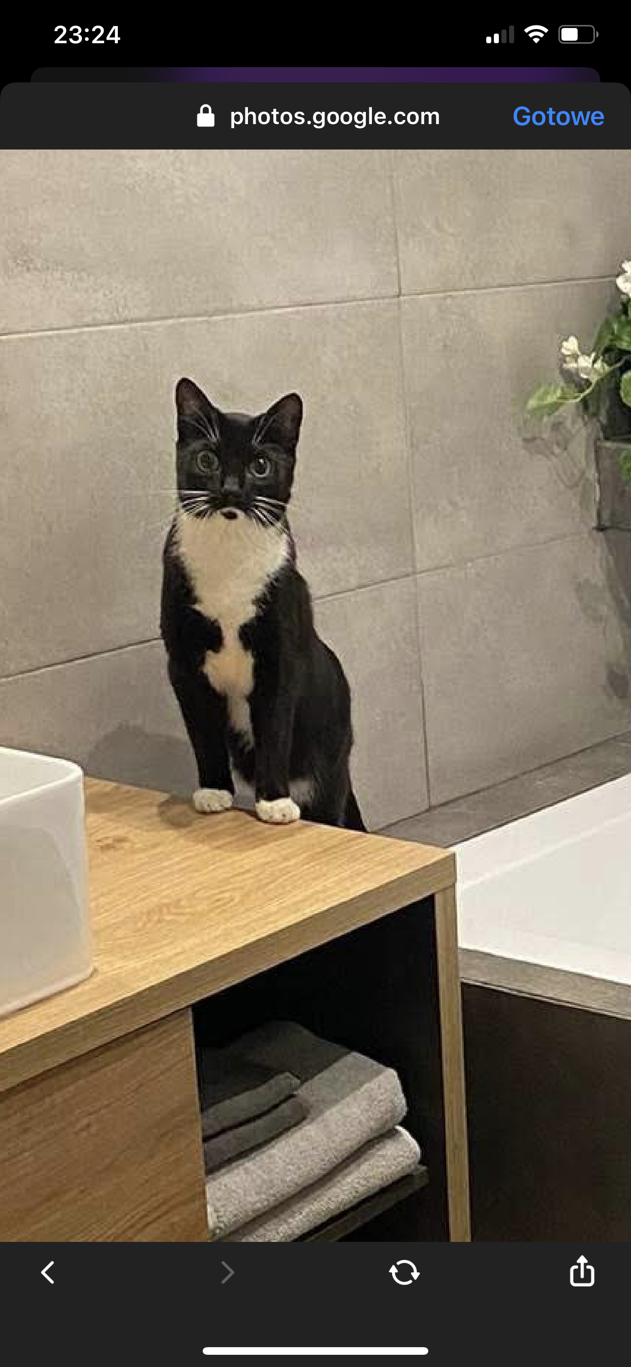 Tunia - Duchnowska, Wiązowna