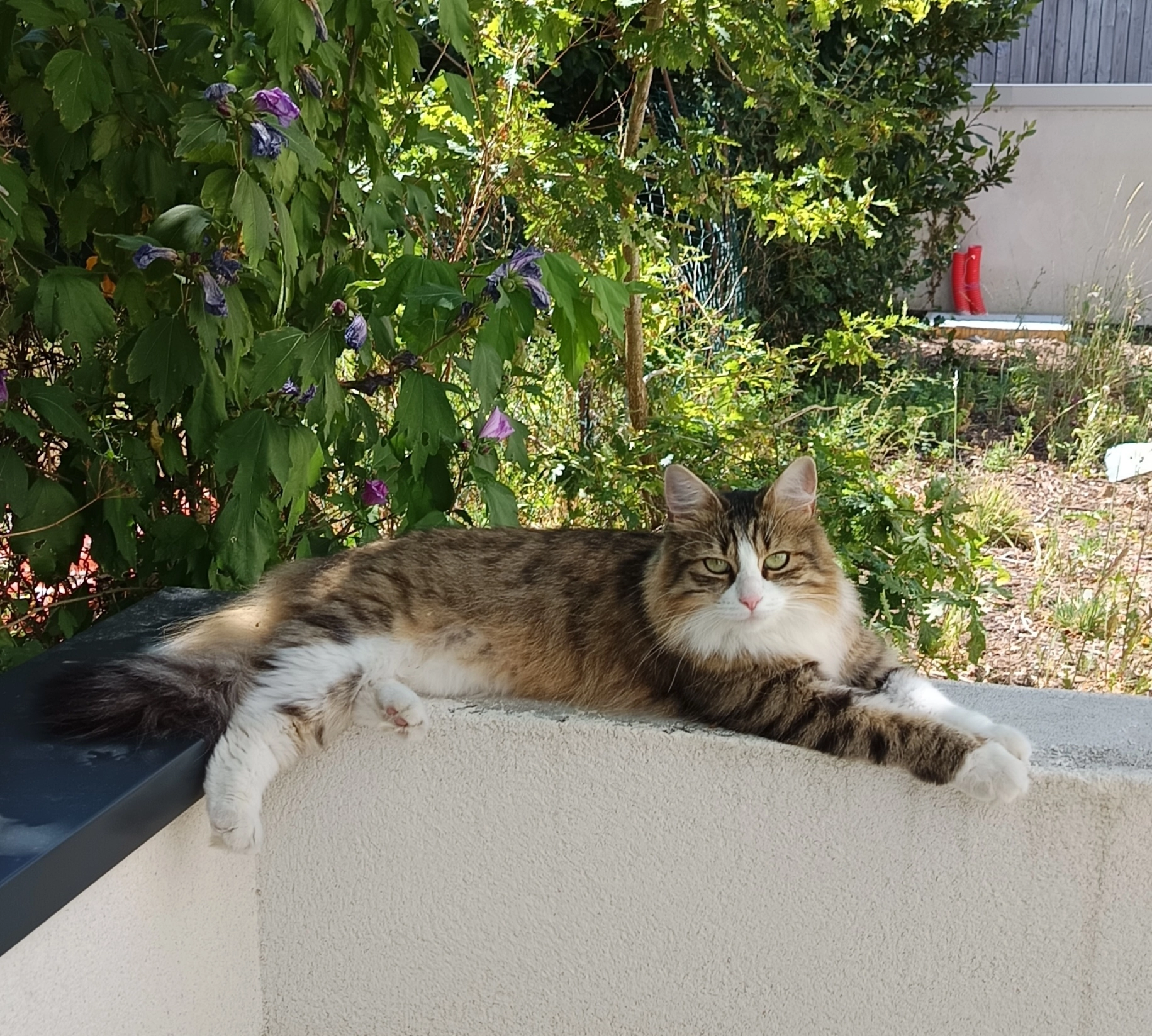 Ciele - Allée Stéphane Grappelli, Saint-Nazaire