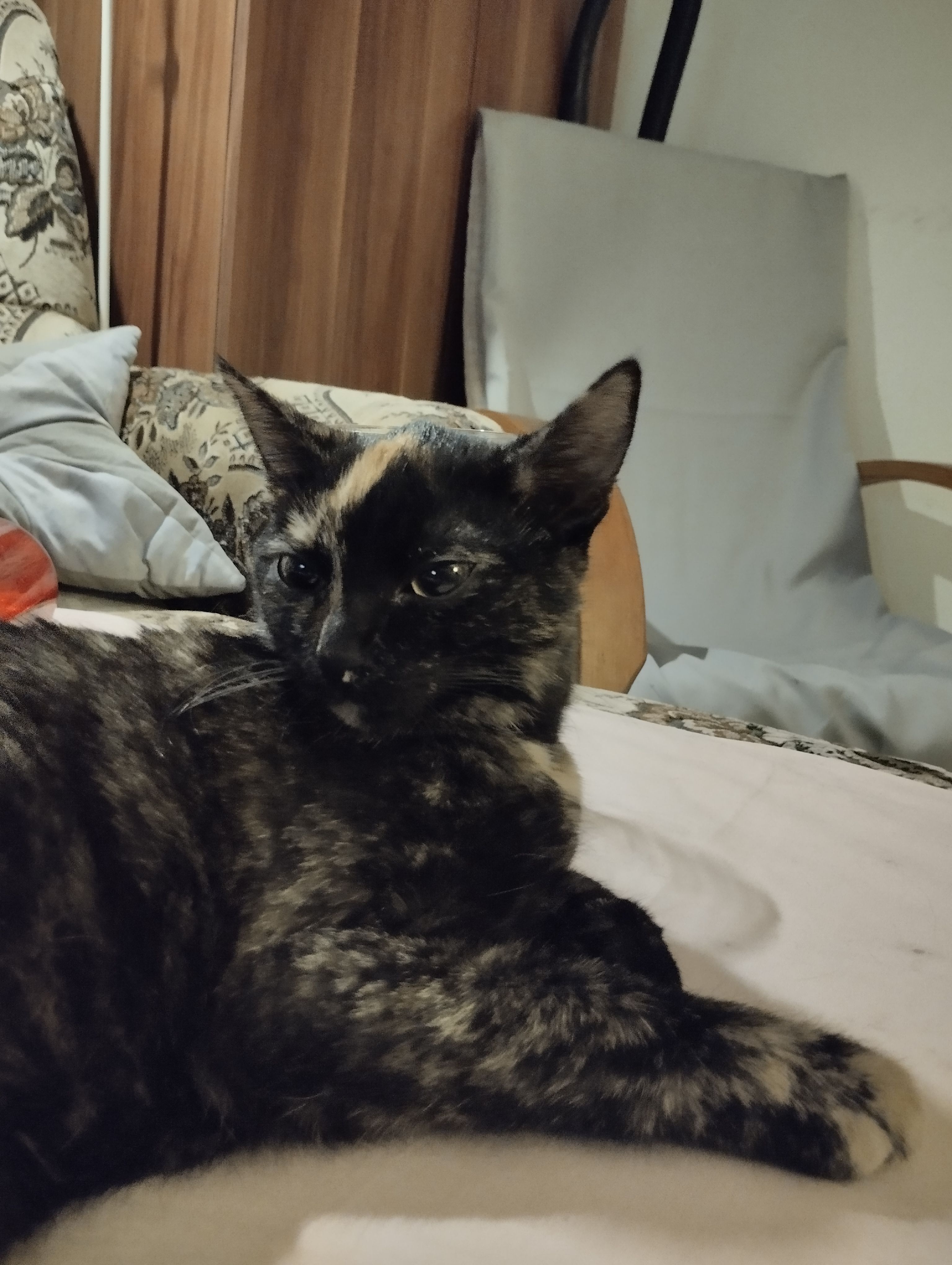 Csili - Álmos Utca, Budapest