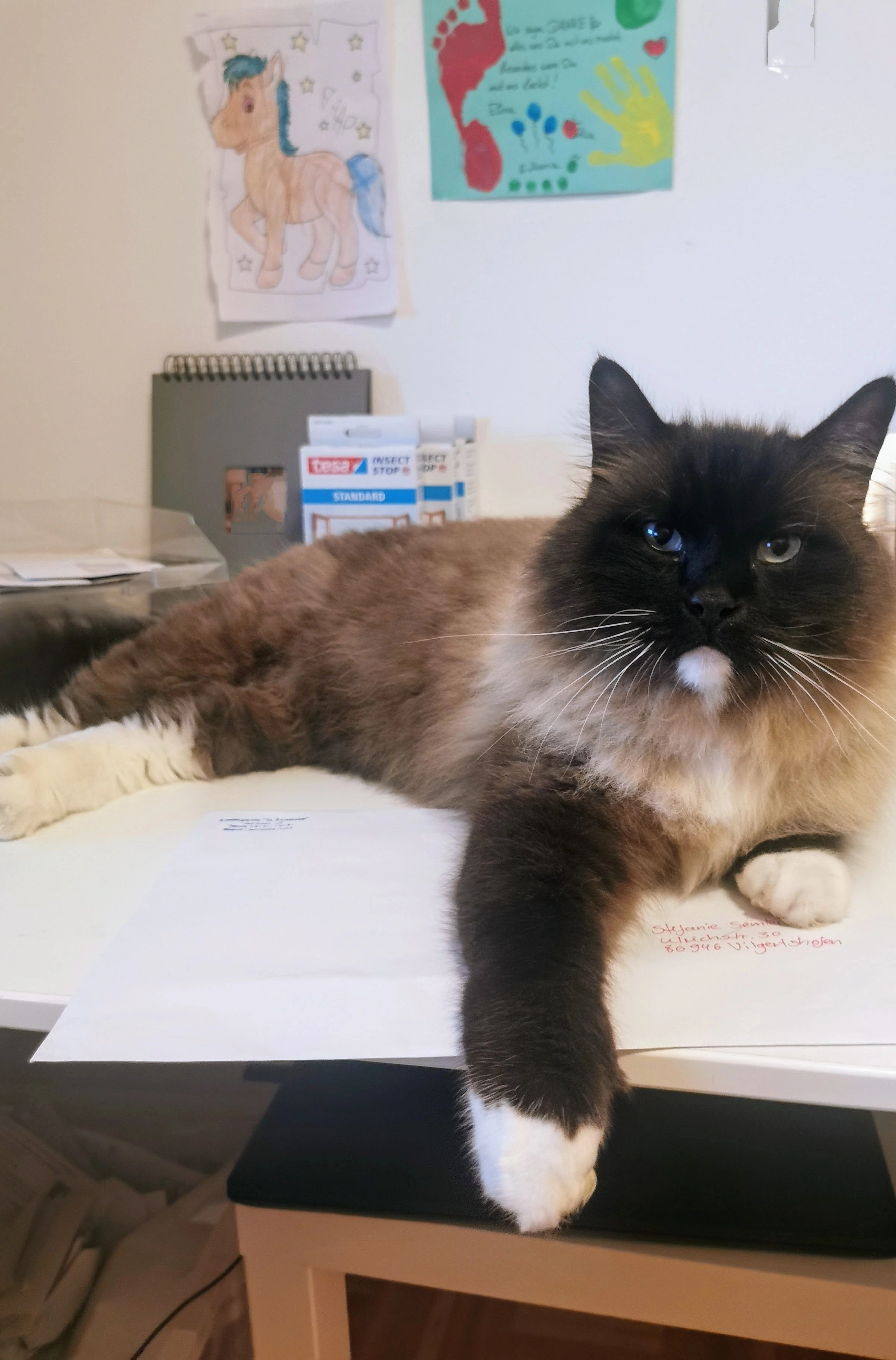 CLEO - Ulrichstraße, Vilgertshofen