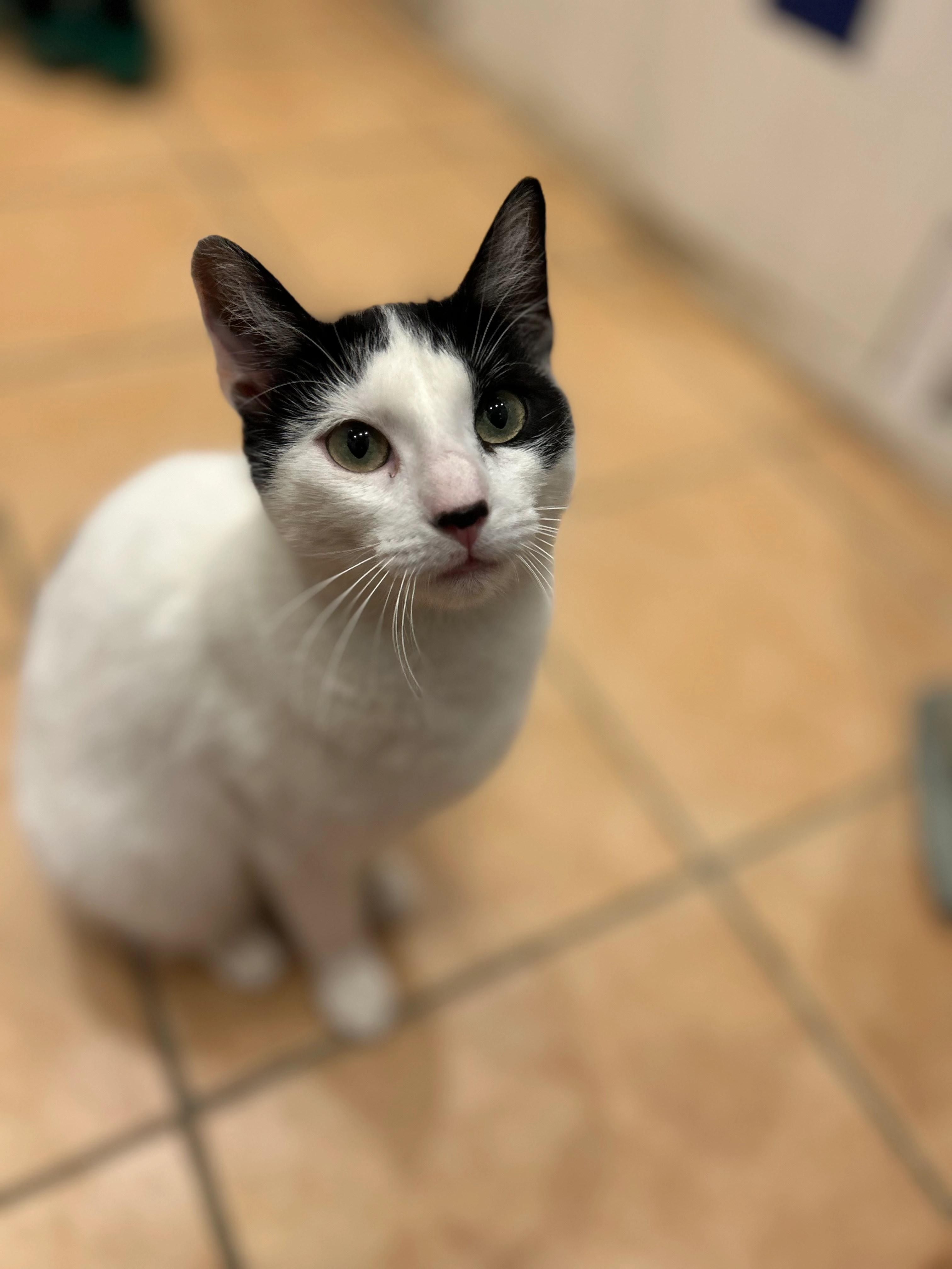 Rania - Lütticher Straße, Kelmis