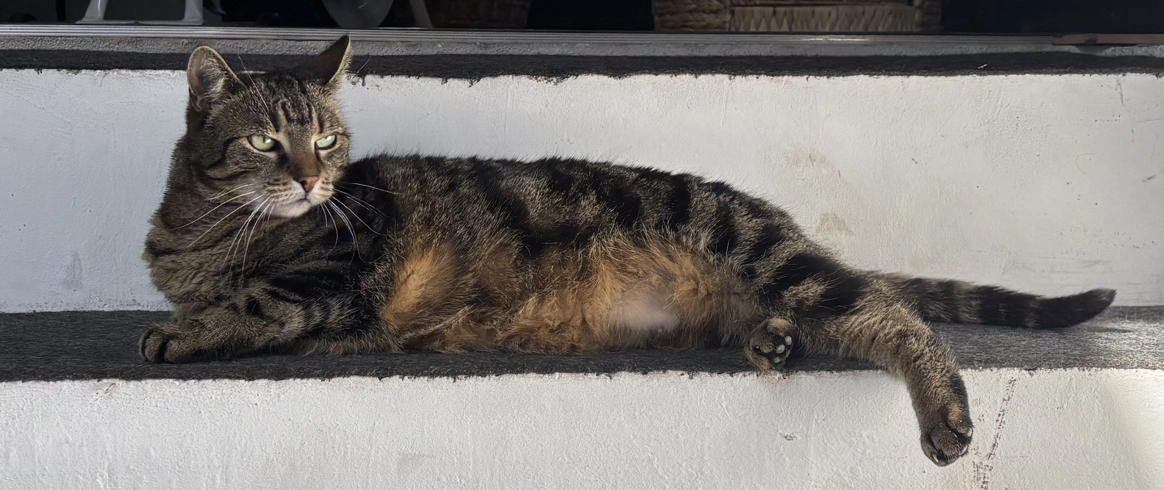 Floh - Weinstraße, Retz