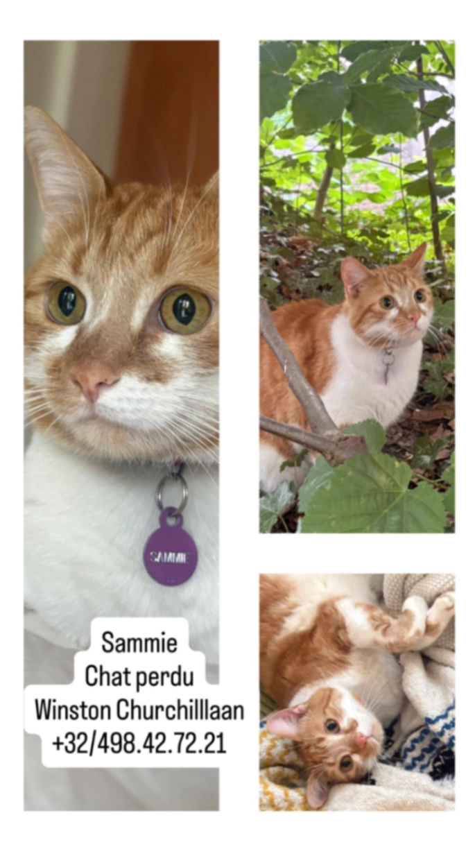 Sammie - Avenue Winston Churchill 224, Uccle