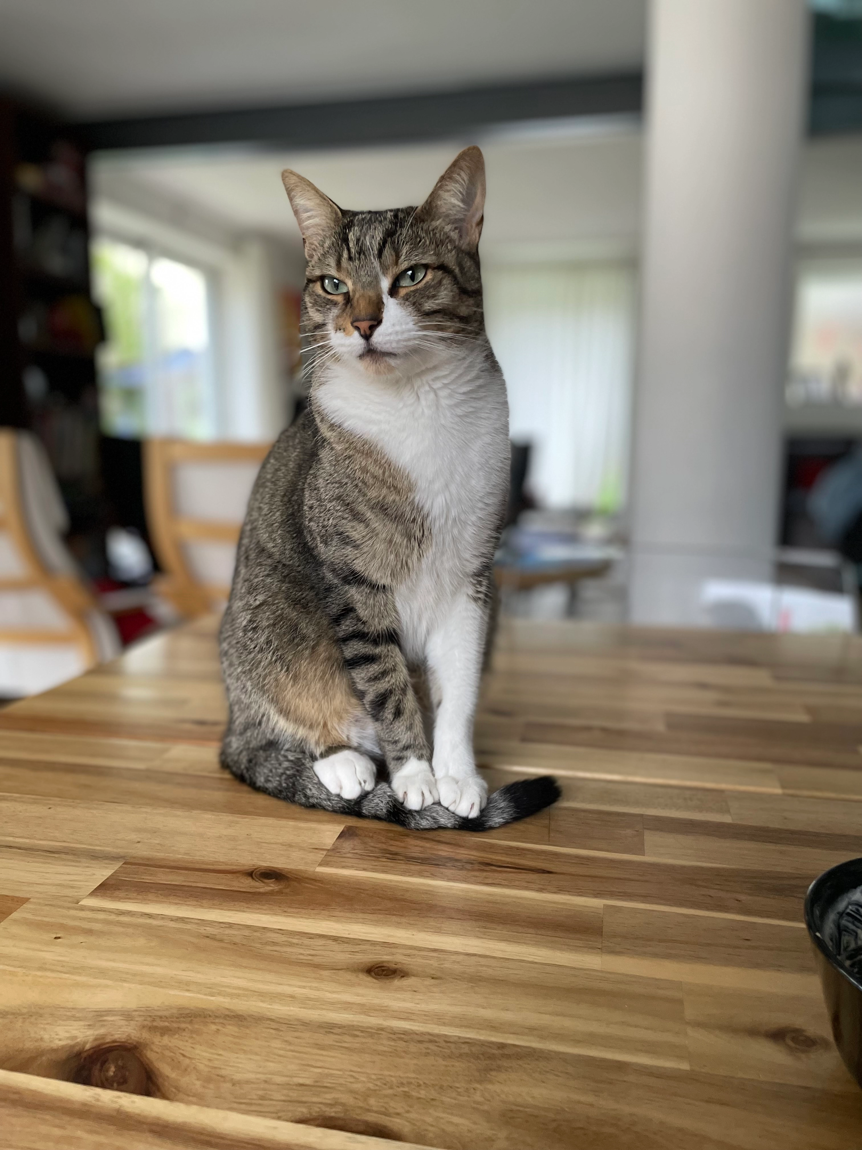 Malo - Rue Du Chemin Vert, Domont