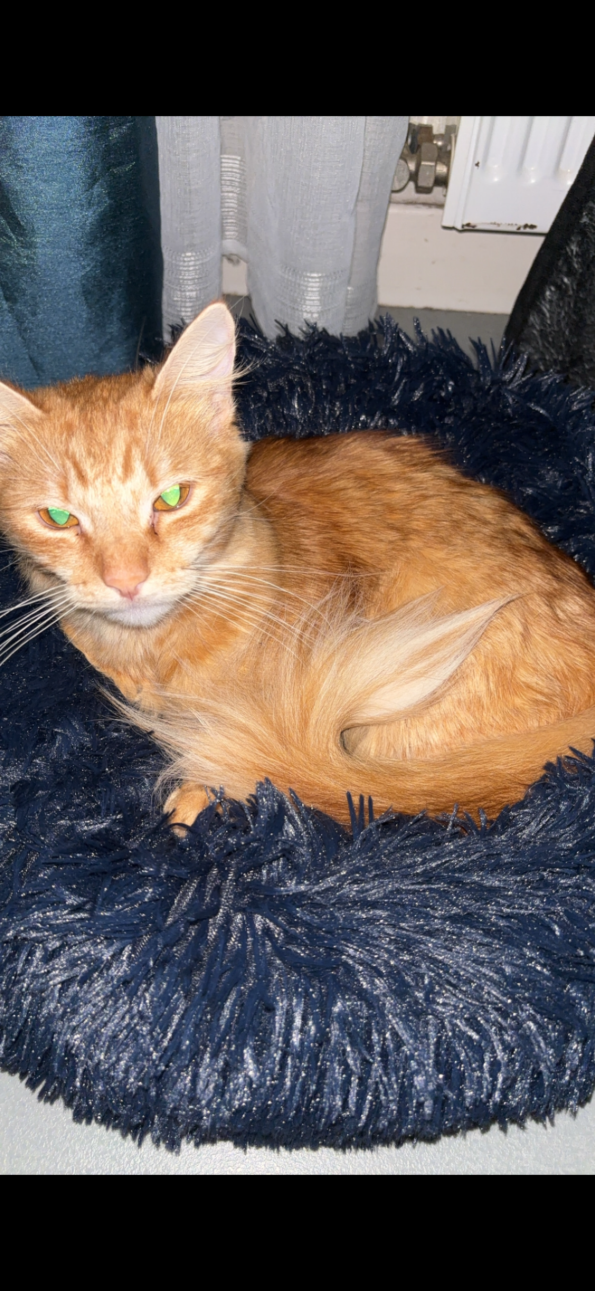 shems - 51 Rue Maurice Domon, Amiens