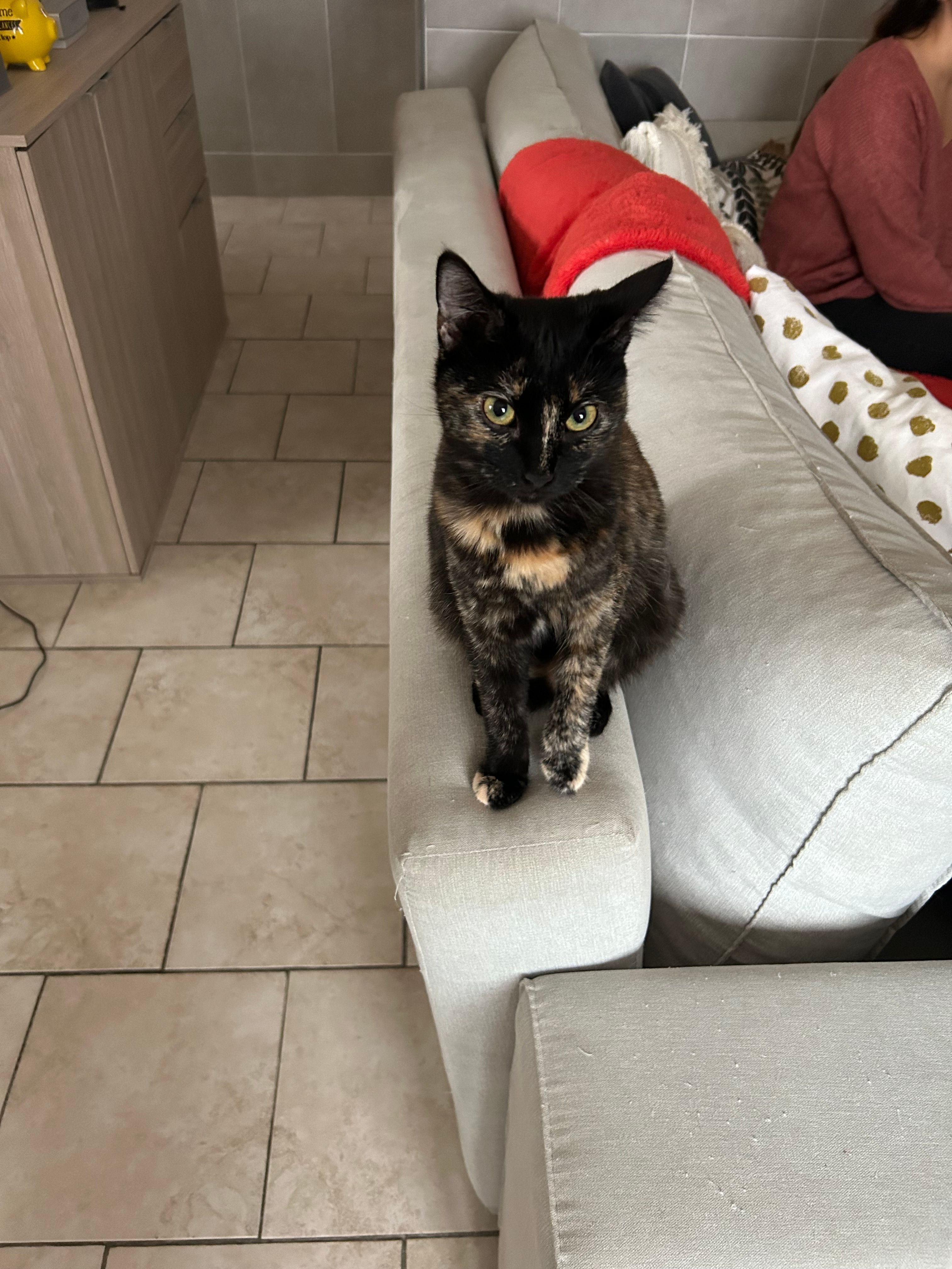 Xcia  - 1161 Avenue de Provence, Fréjus