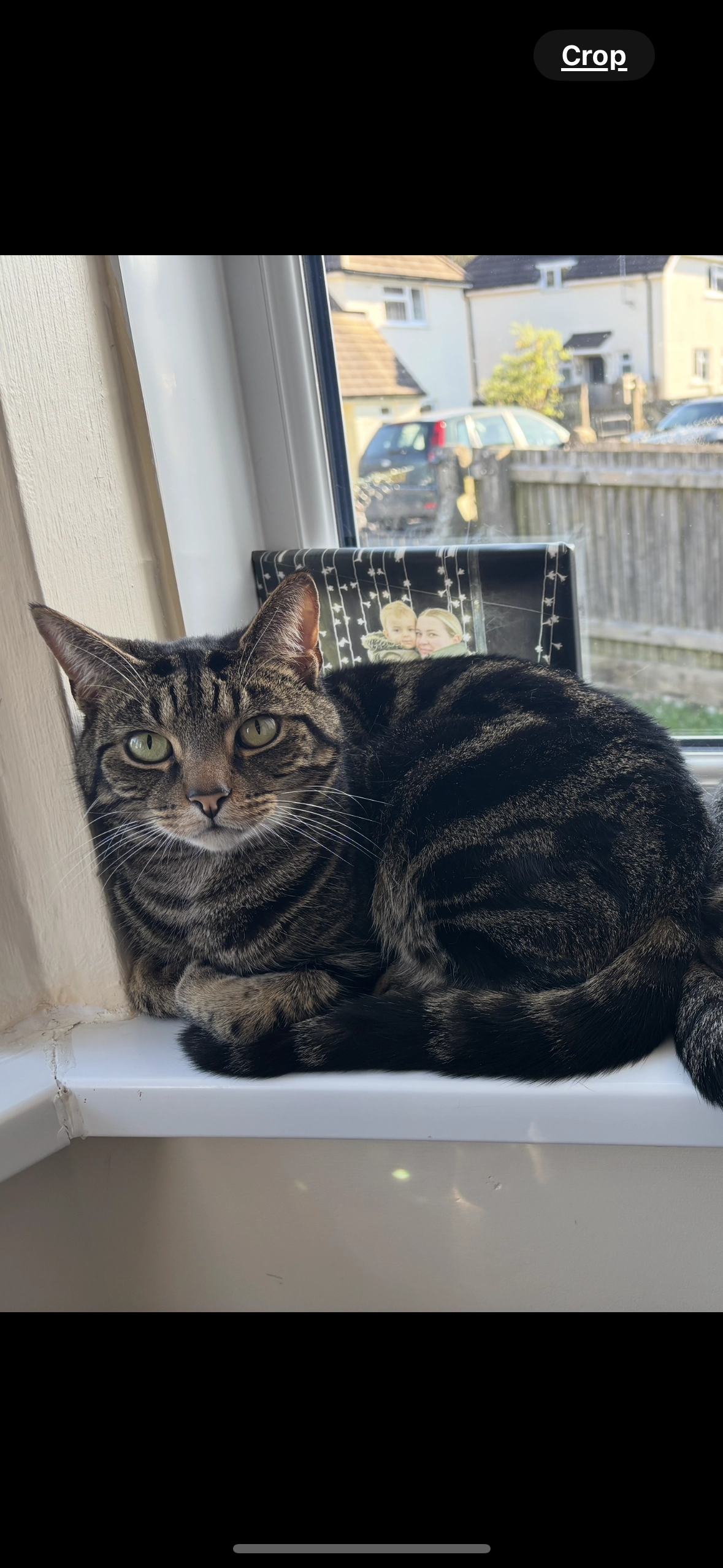 Smudge  - Firbank Crescent, Warminster