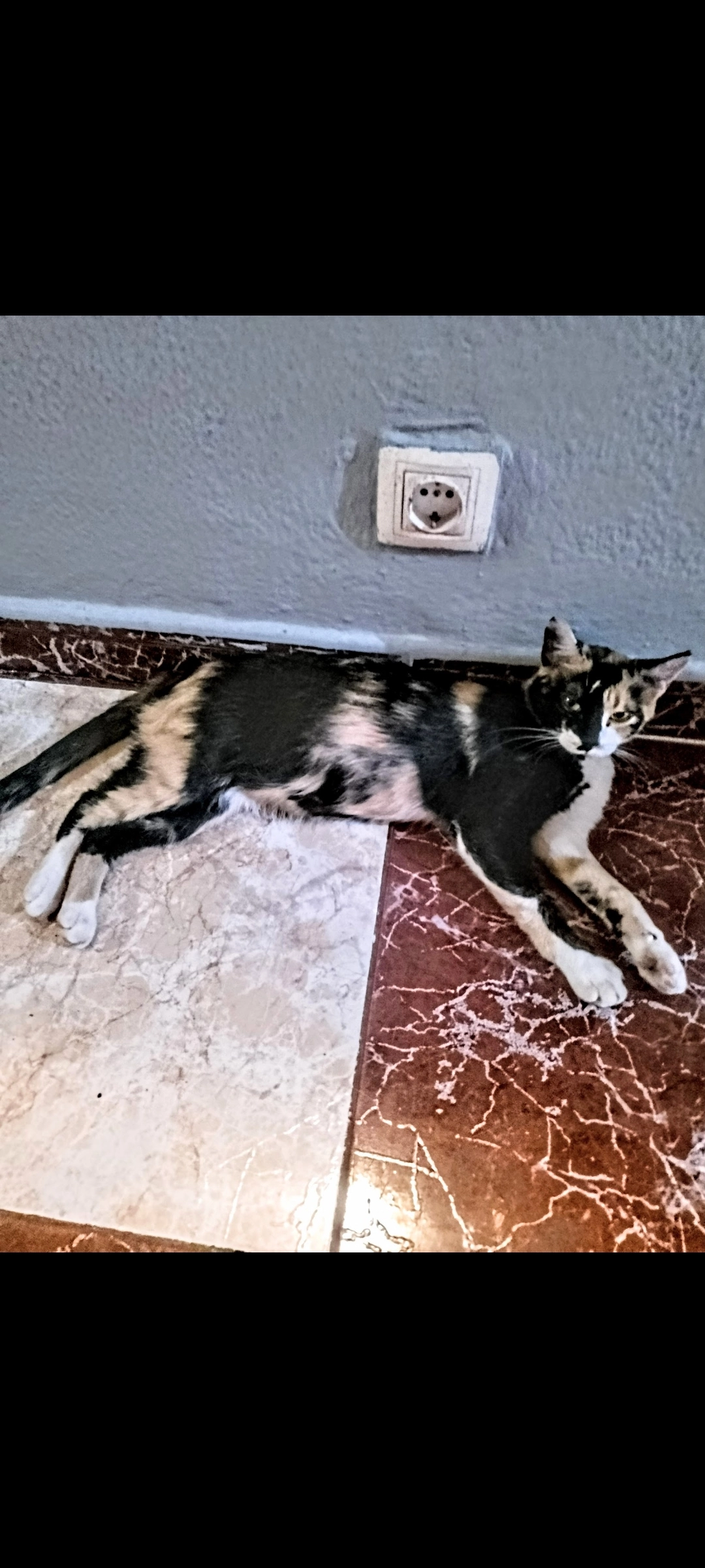 Charlotte - Calle Manuel Íbero, Daimiel