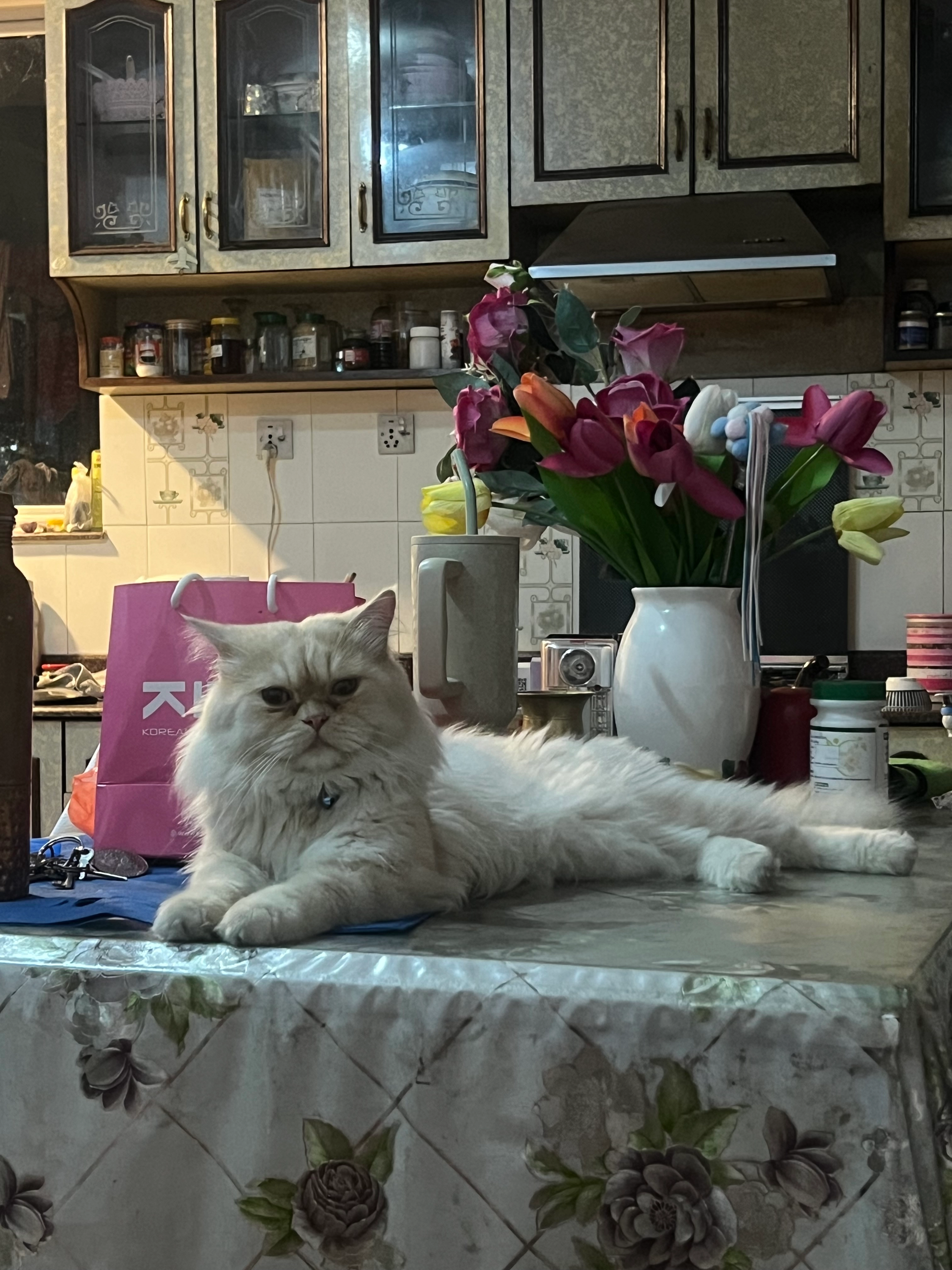 Lulu - Gurans Tol, Kathmandu