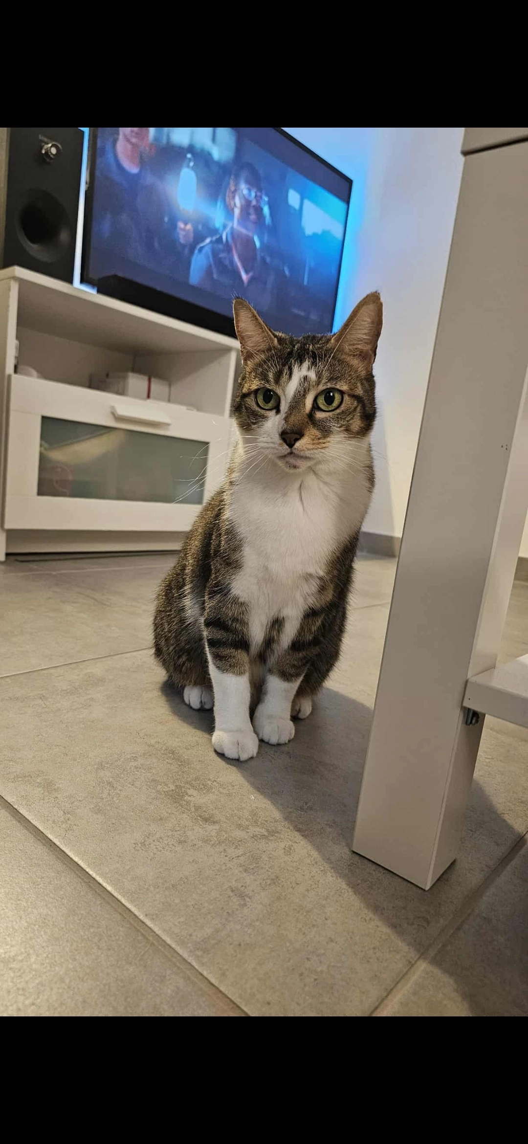 Jaïa - Chemin du Moulin, Saint-Nazaire-les-Eymes