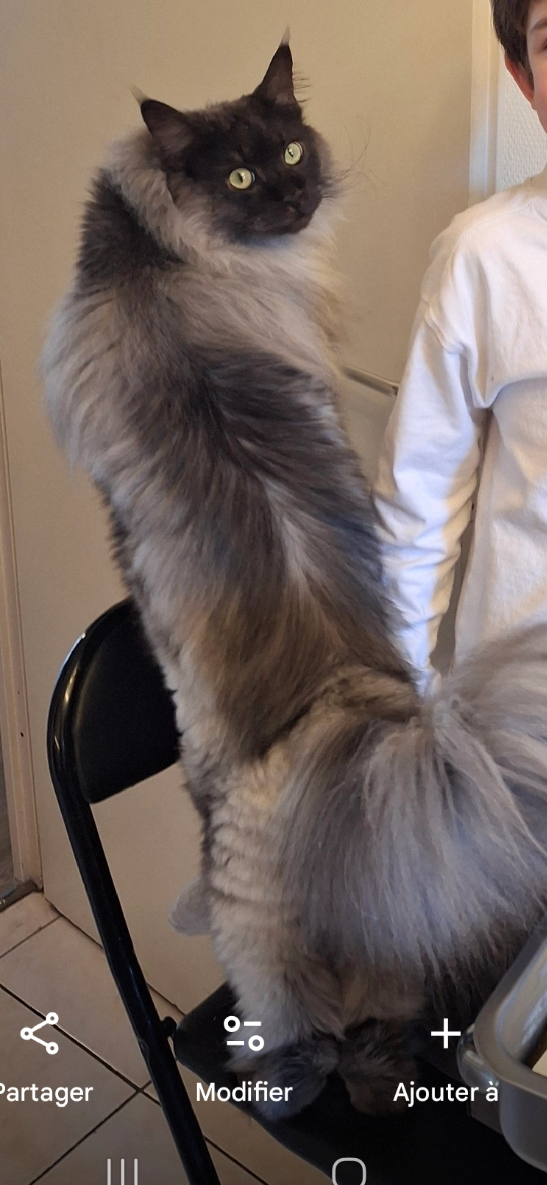 Orion - 21 Rue d'Embarthe, Toulouse