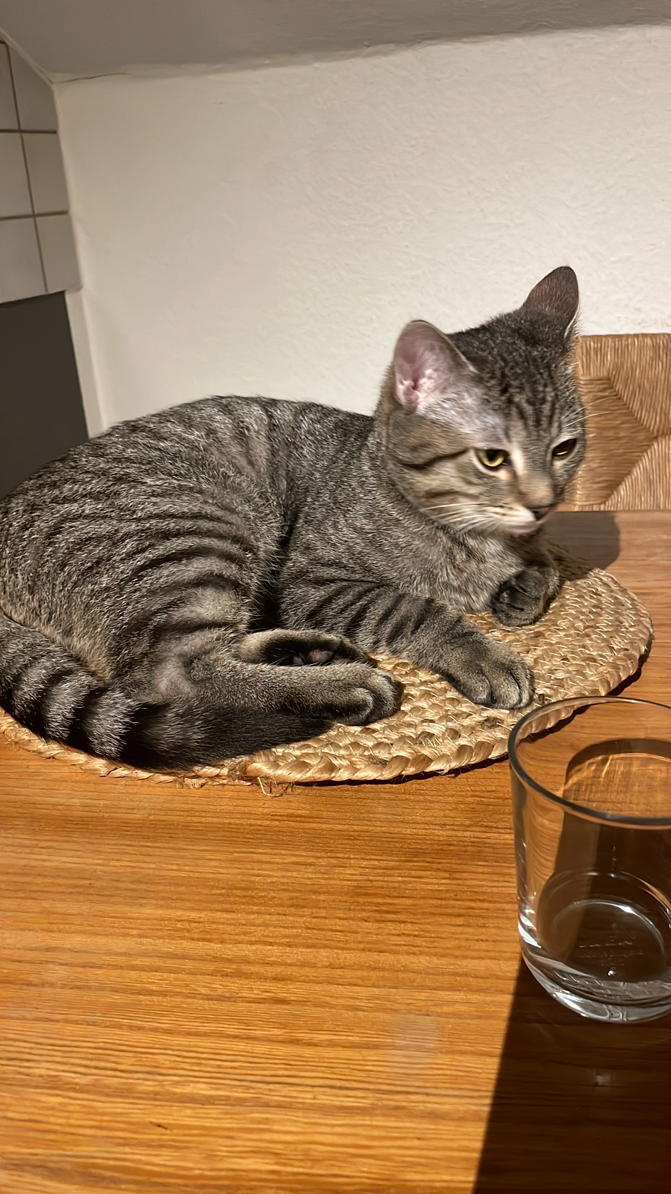 Loki - Breite Straße, Bonn