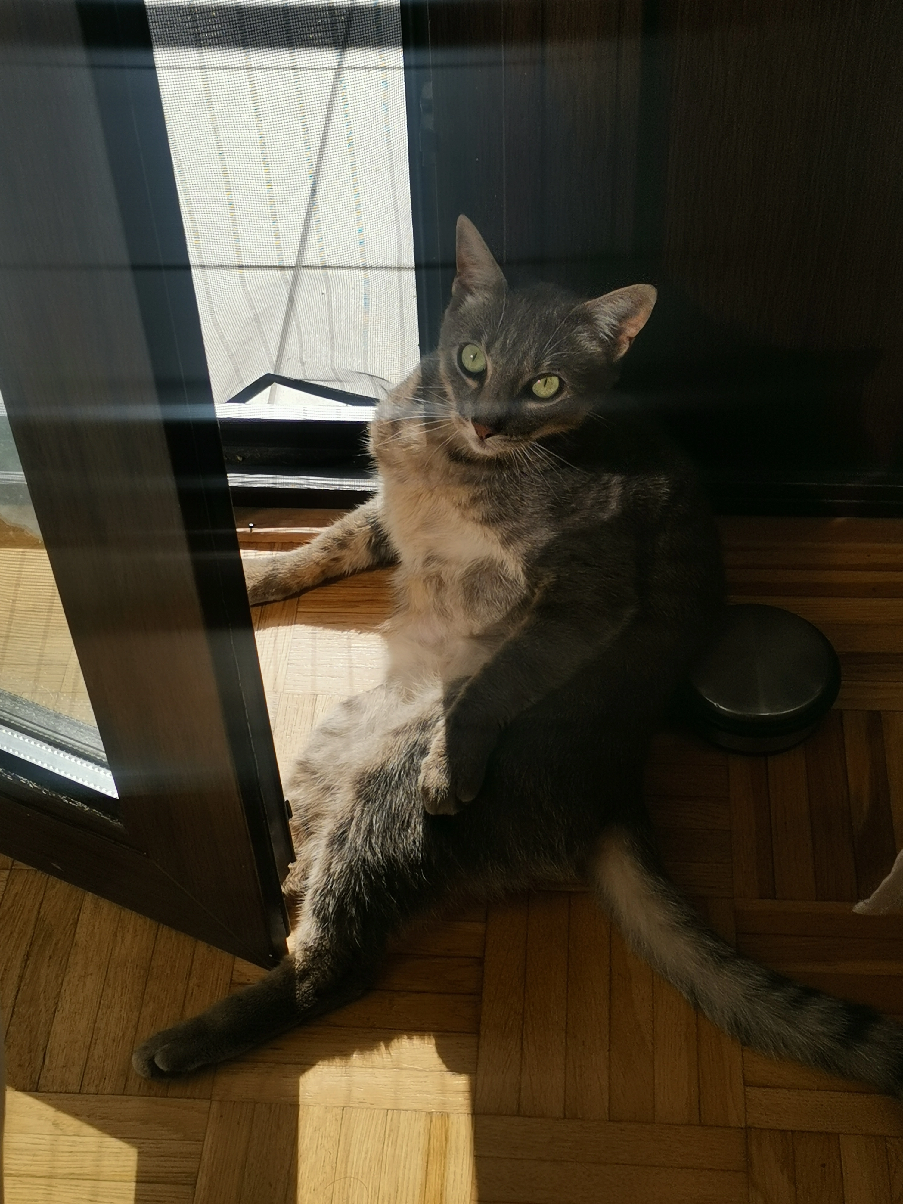 Hela - Tilsiter Weg, Schwetzingen