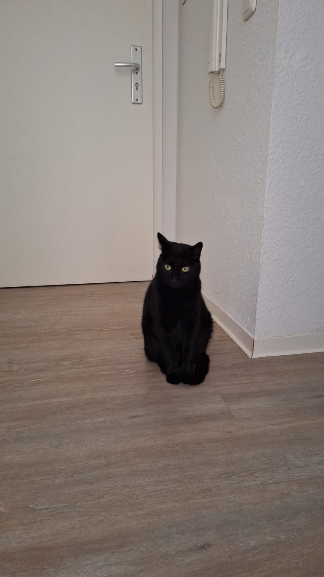 Milan - Klosterstraße, Blaubeuren