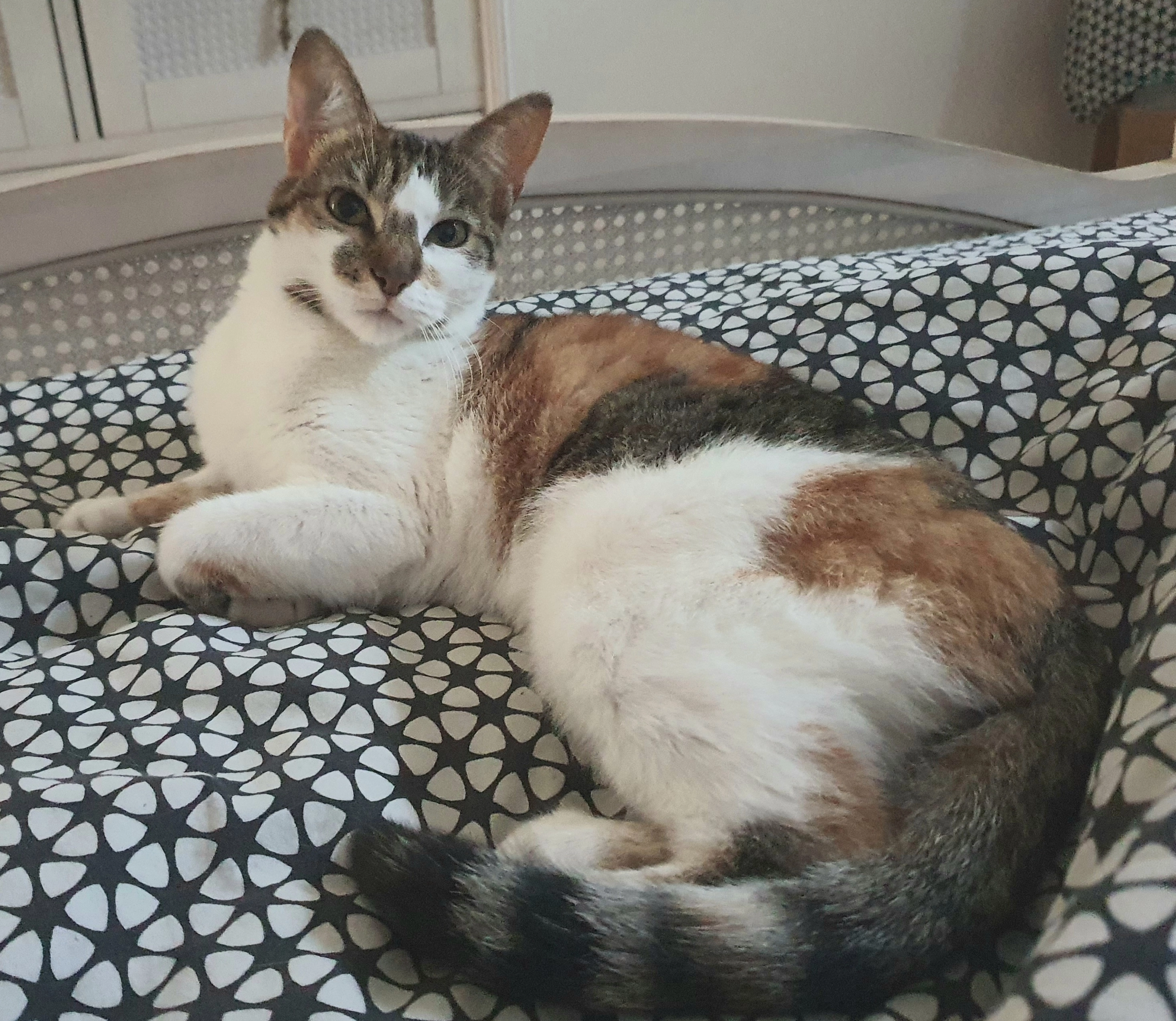 Princesse - 3 Rue Du Petit Fief Regand, Bourcefranc-le-Chapus