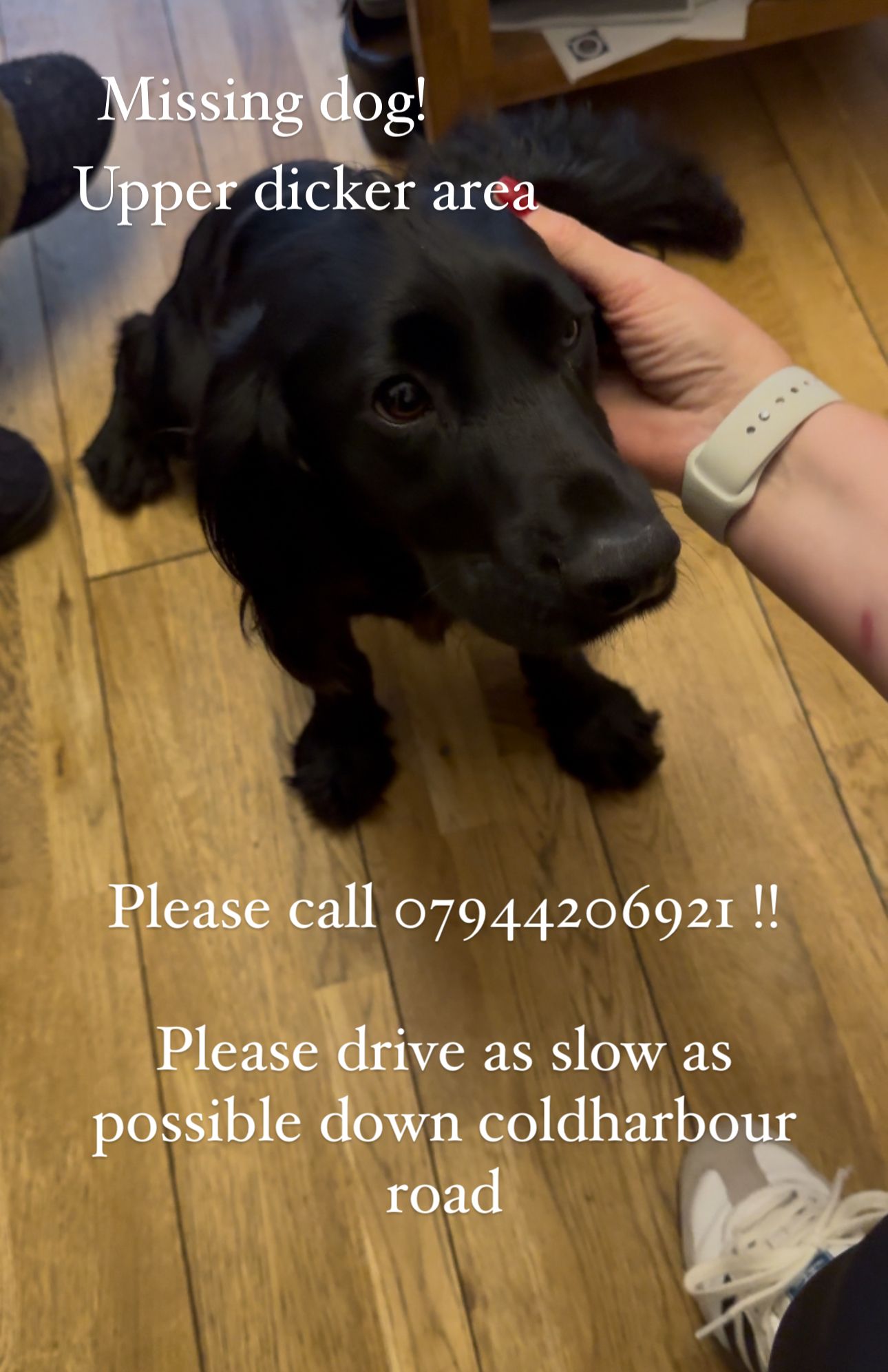 Joe - Coldharbour Road, Hailsham