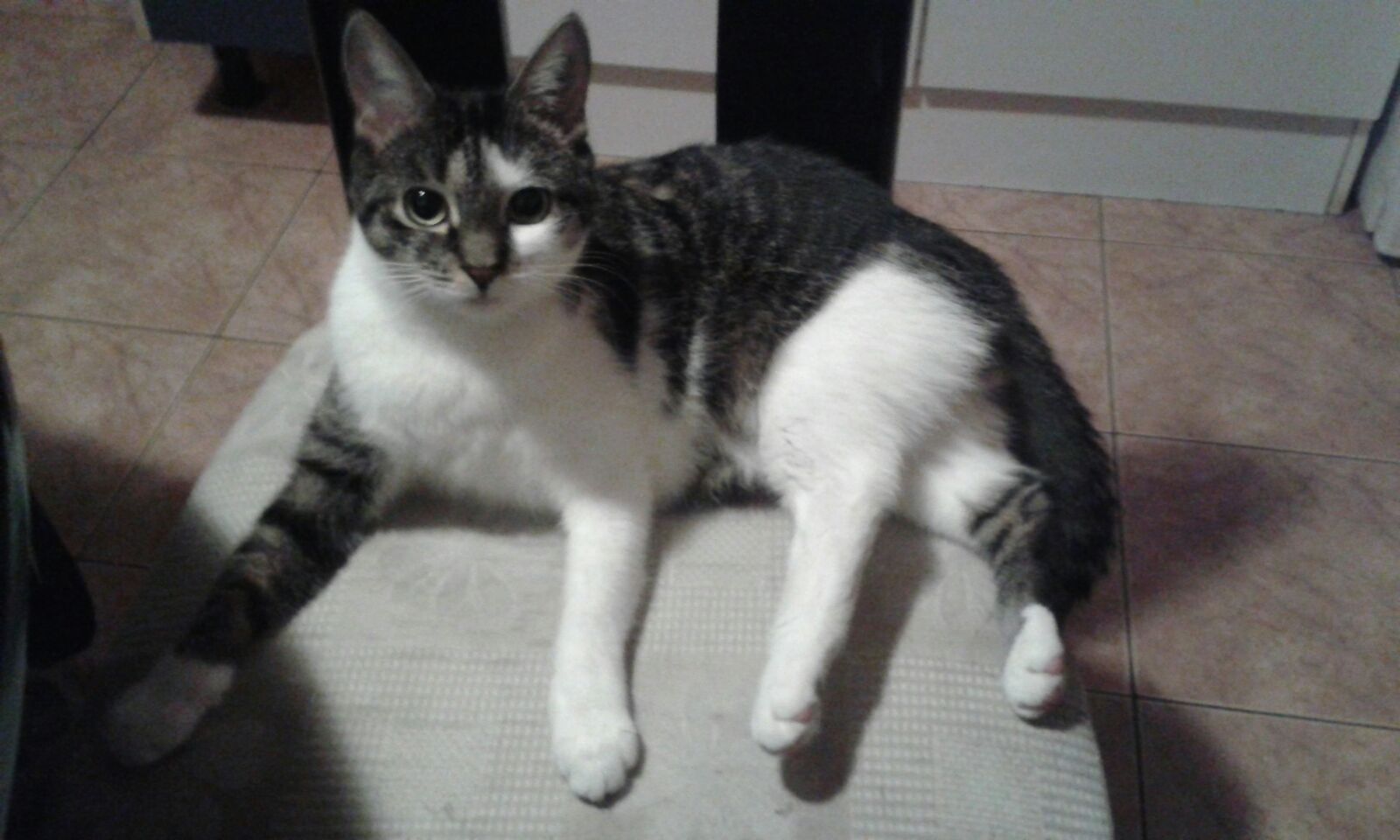 Minzi - Hauptstraße, Höchberg