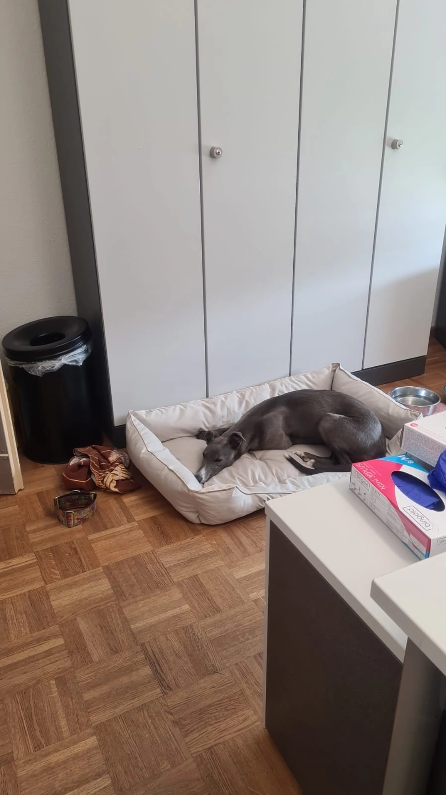 Maja - Binsenthalstraße, Neunkirchen