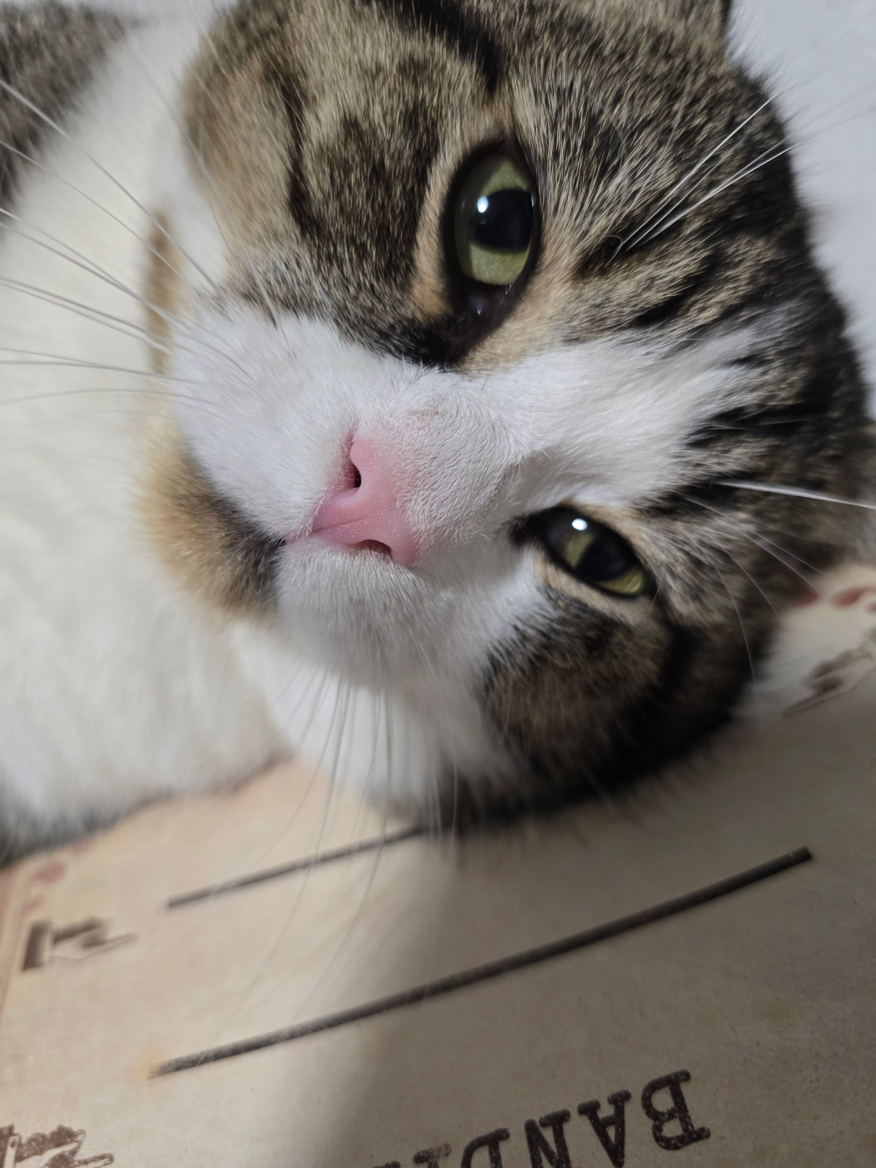 Semi - Oberer Herrenberg, Eisenbach