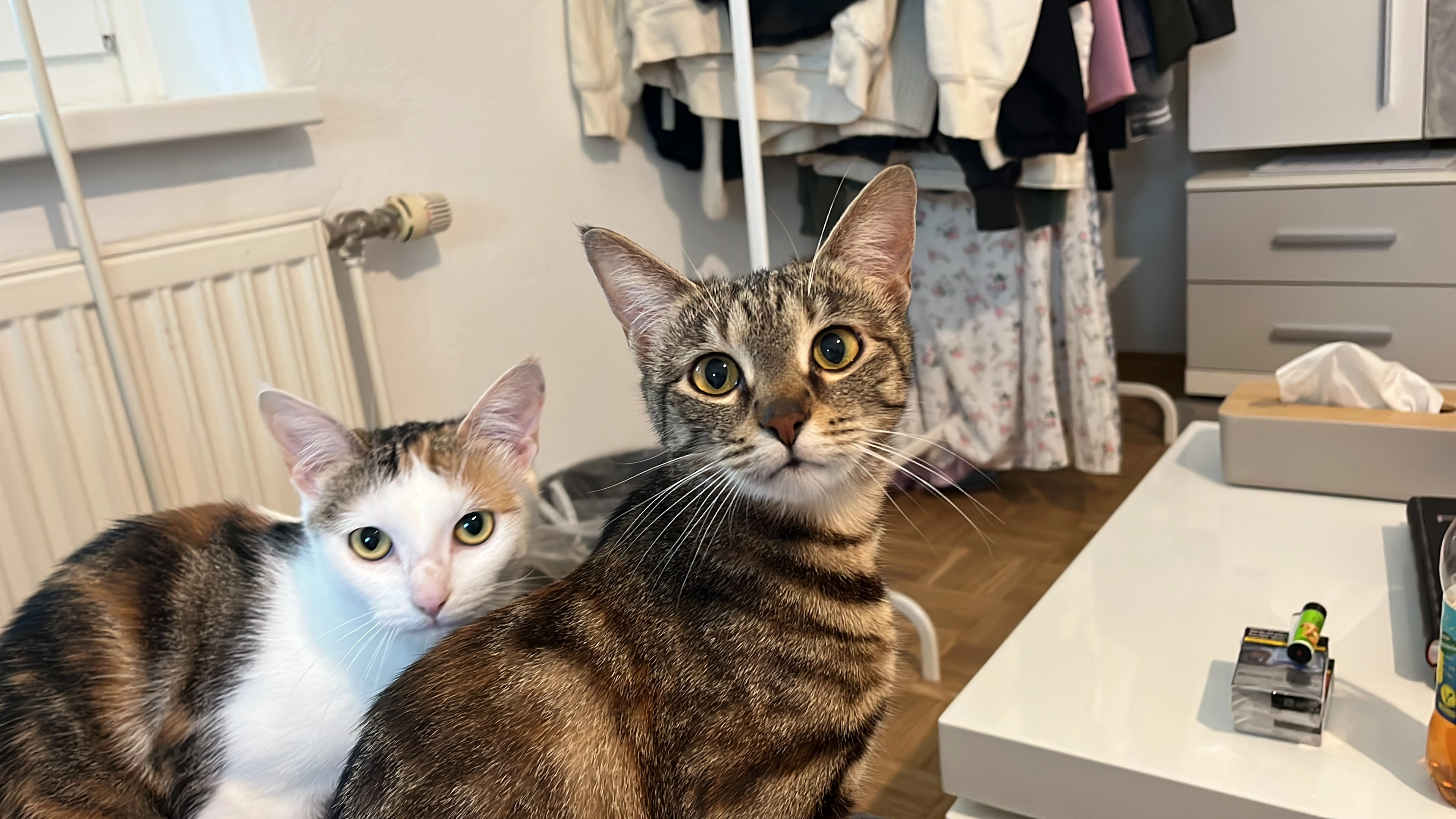 Arielle - Rebenburggasse, Trofaiach