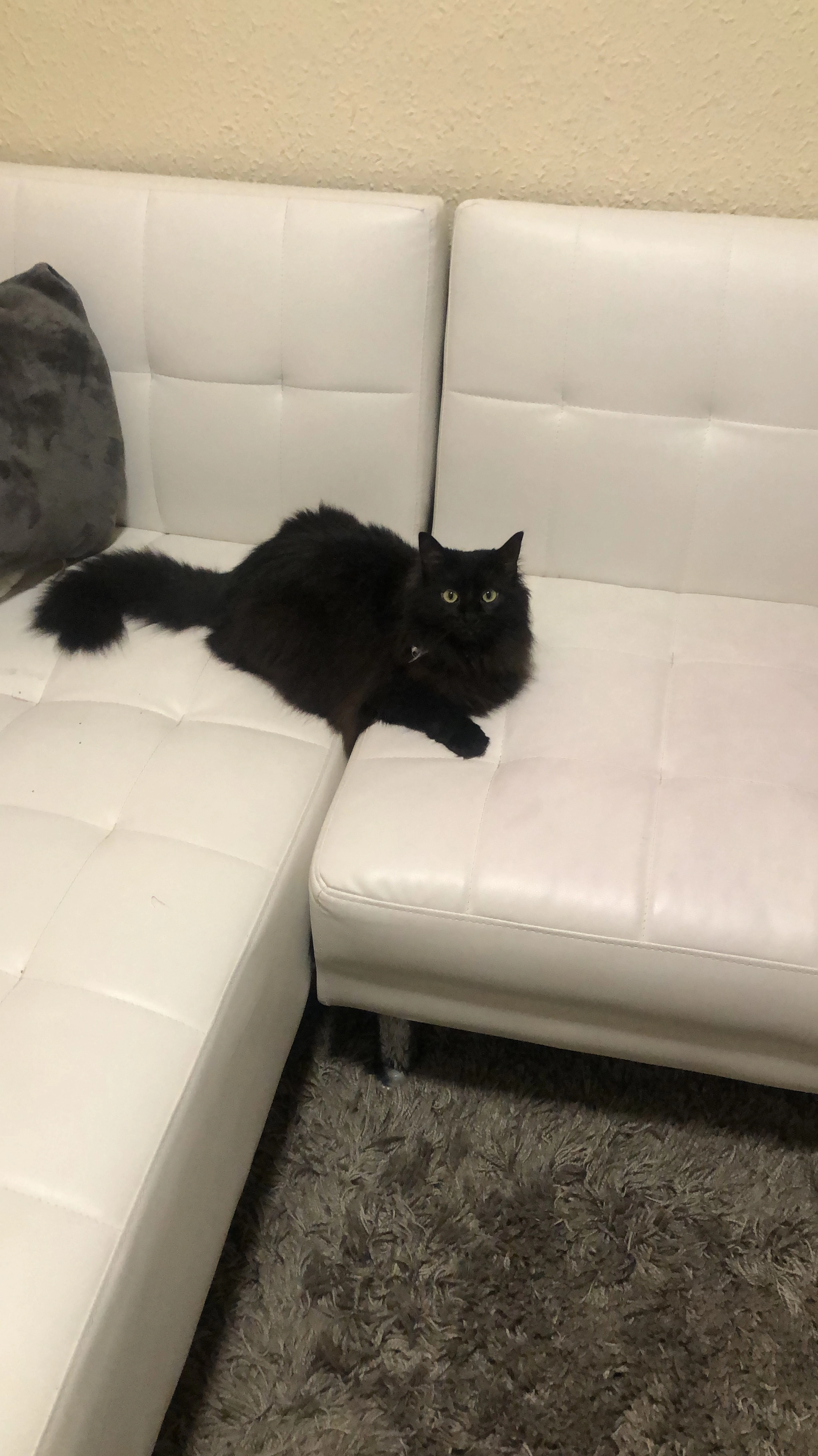 Isis - Calle de Sierra de Albarracín 17, Alcorcón