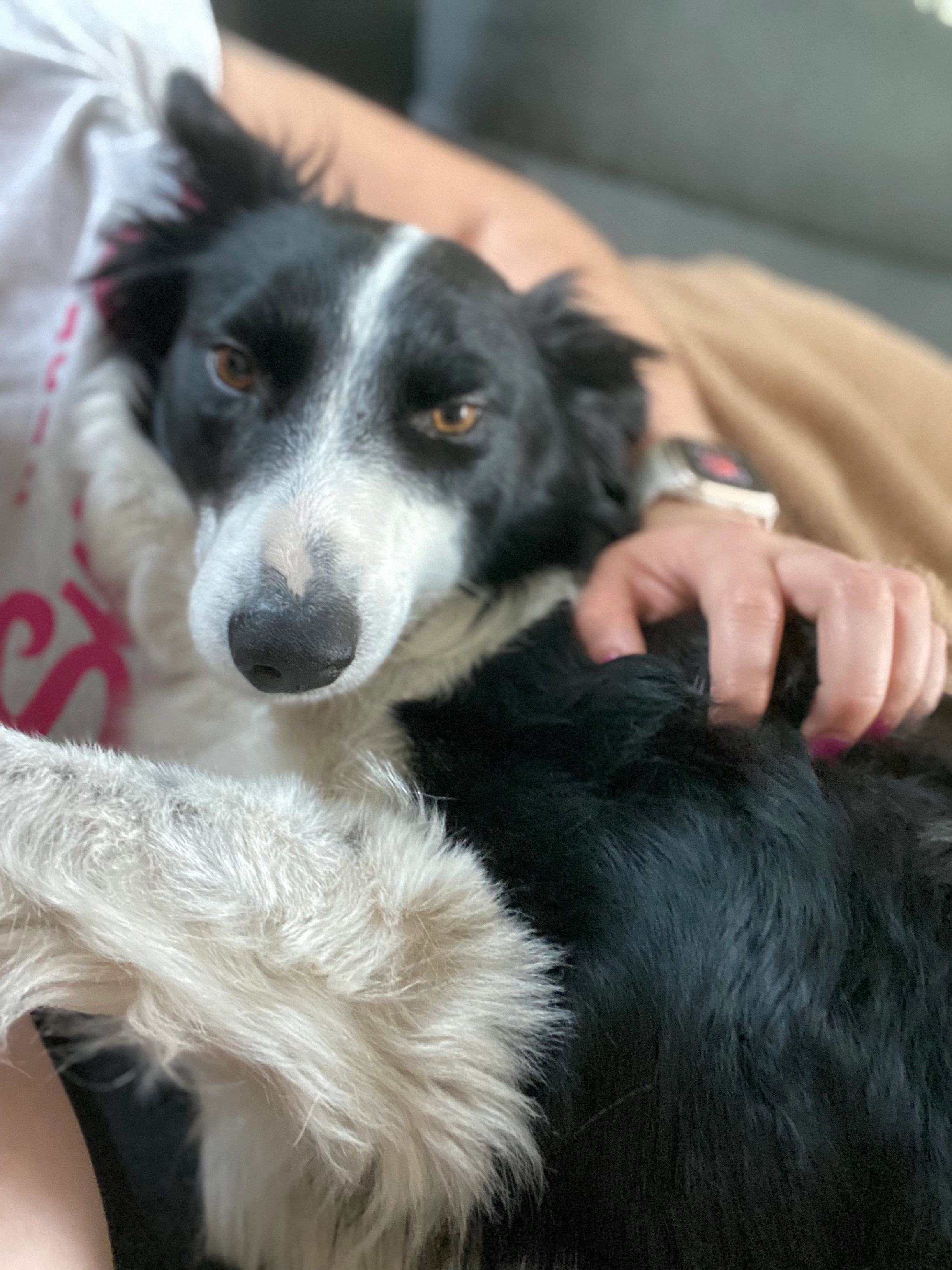 Nala - Rue de Tournai, Vieux-Condé