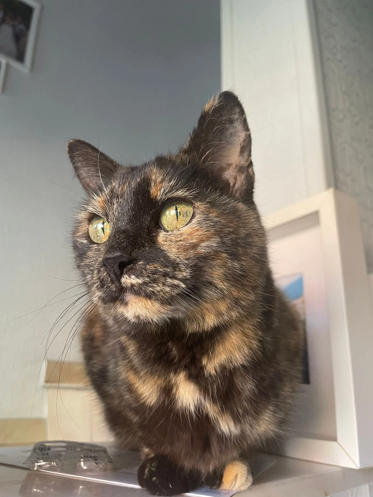 Mimi boule - Rue Bauduin 9, Merbes-le-Château