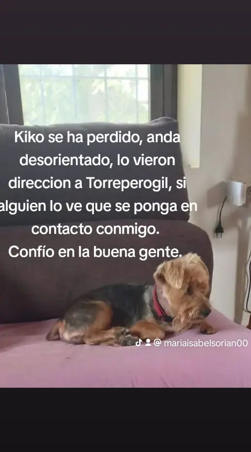 Kiko  - A-301, Úbeda