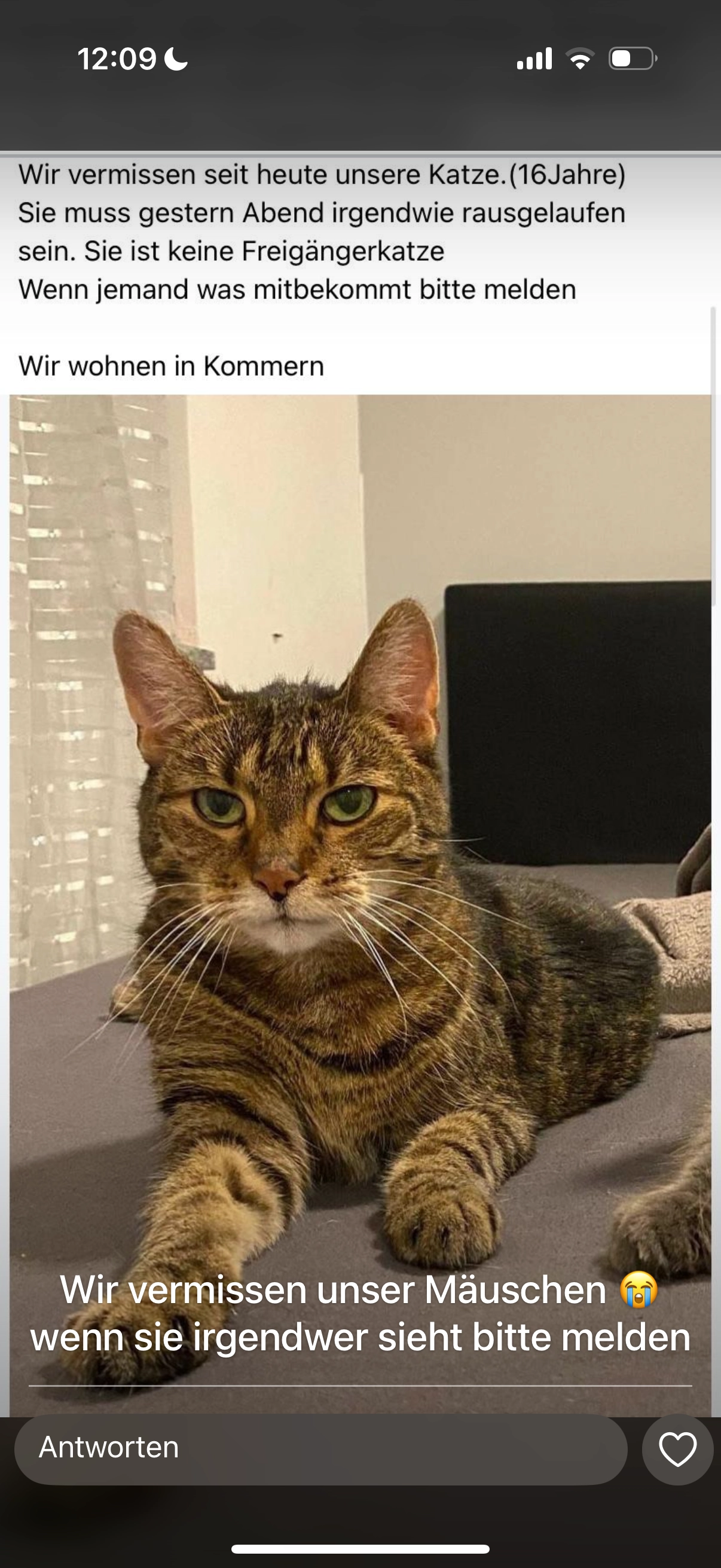 mäuschen  - Auf Dem Daniel, Mechernich