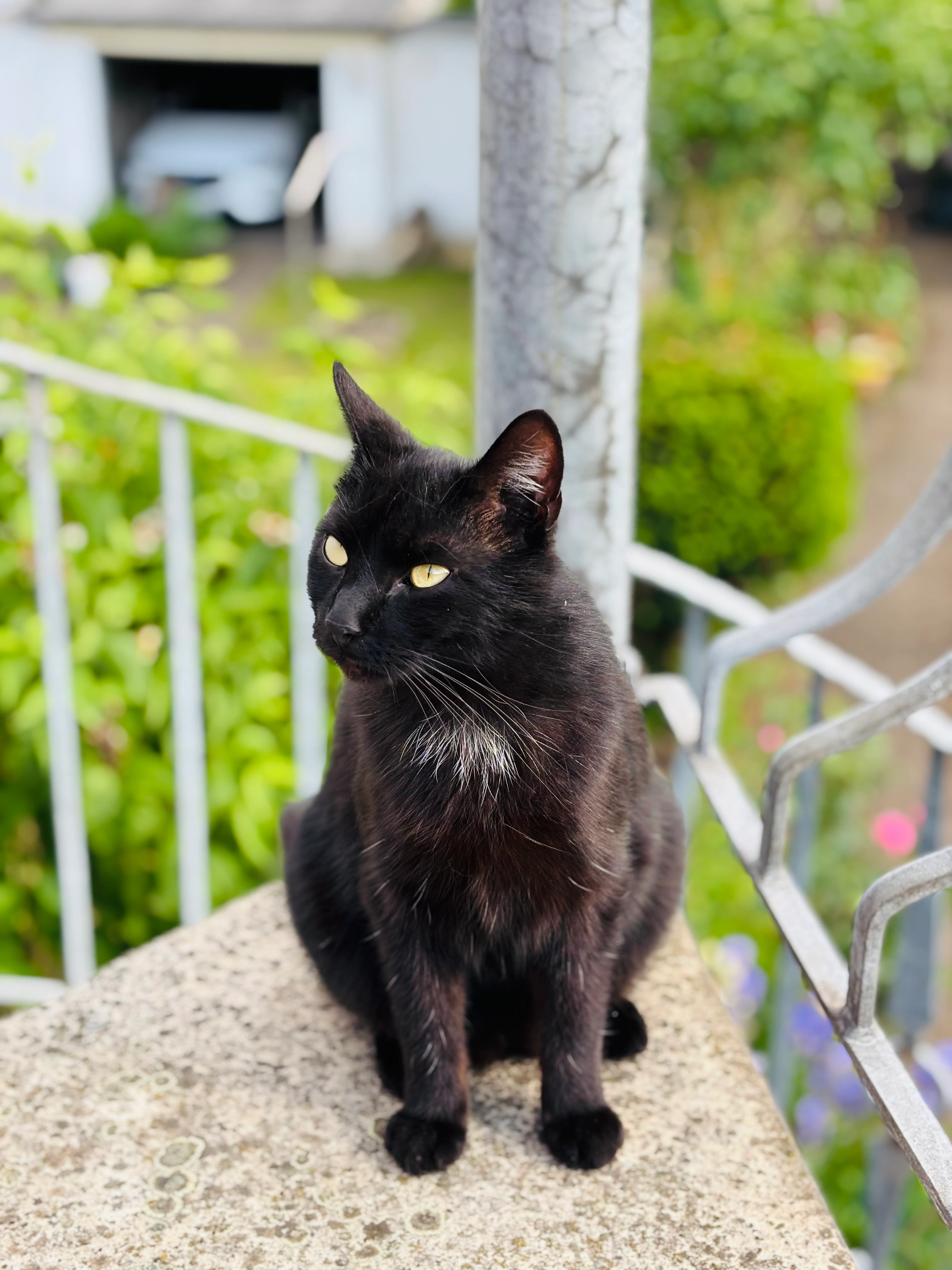 Silas - Karthäuser Straße, Konz